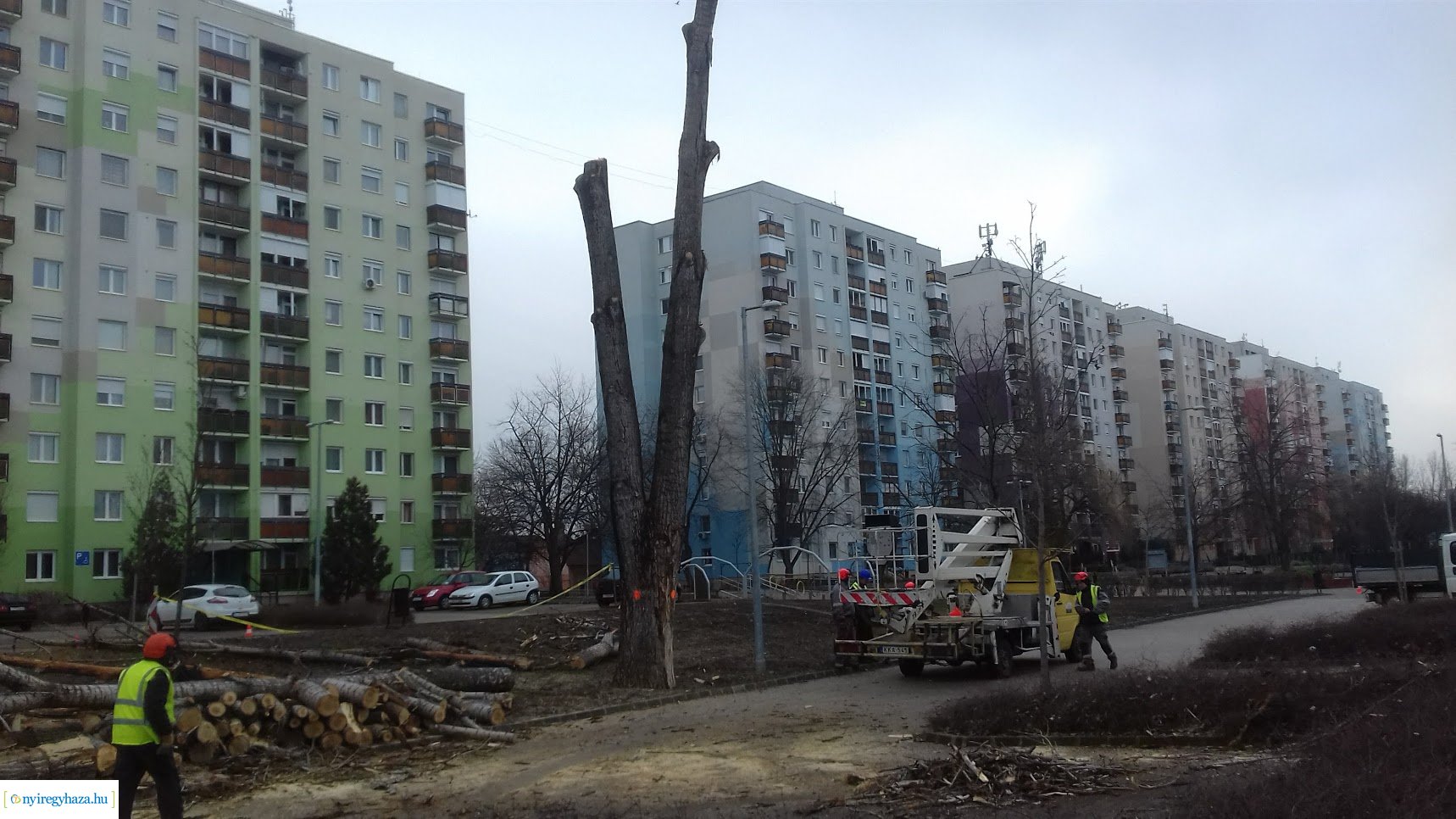 Favágás a Toldi utcán