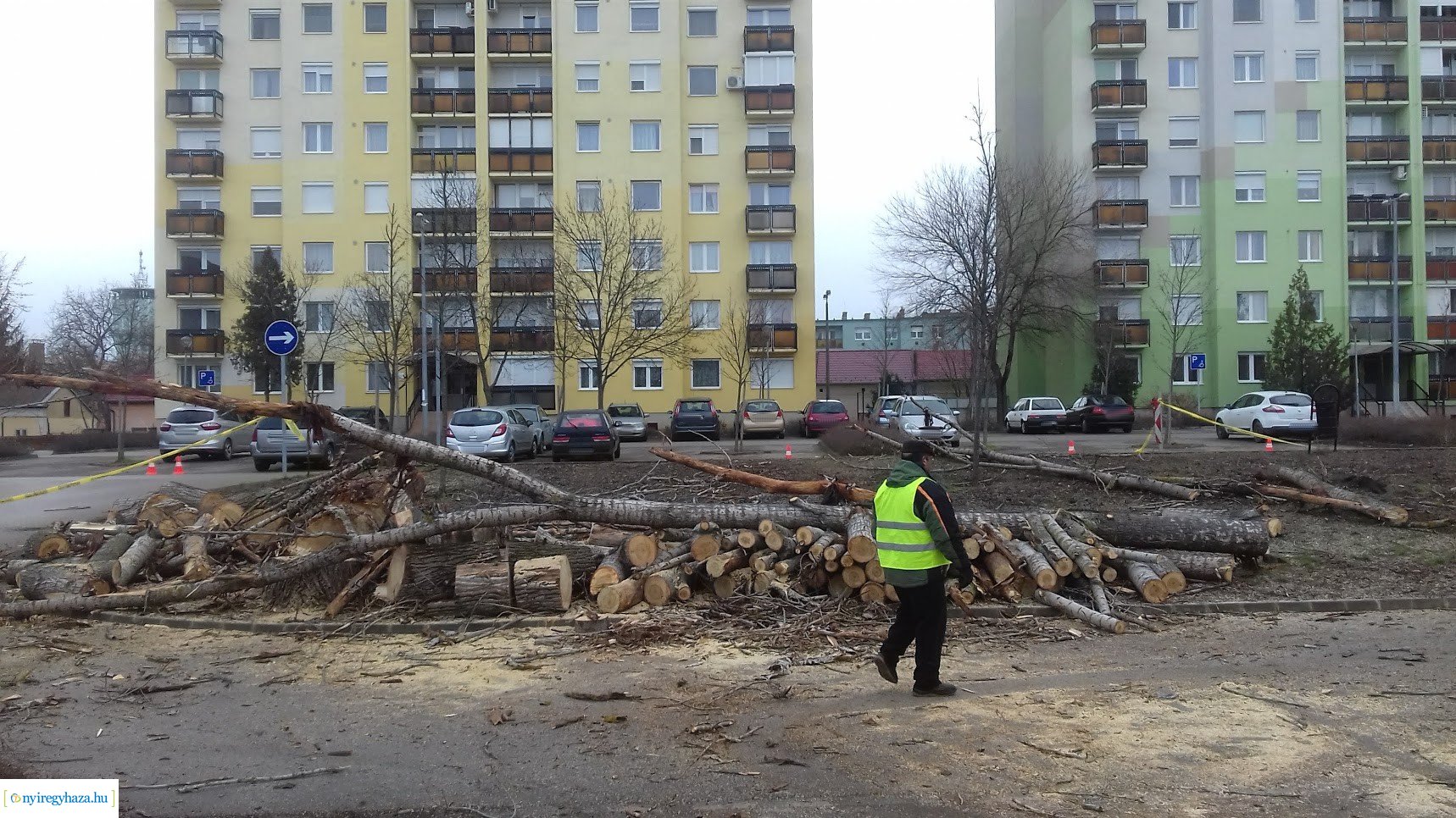 Favágás a Toldi utcán