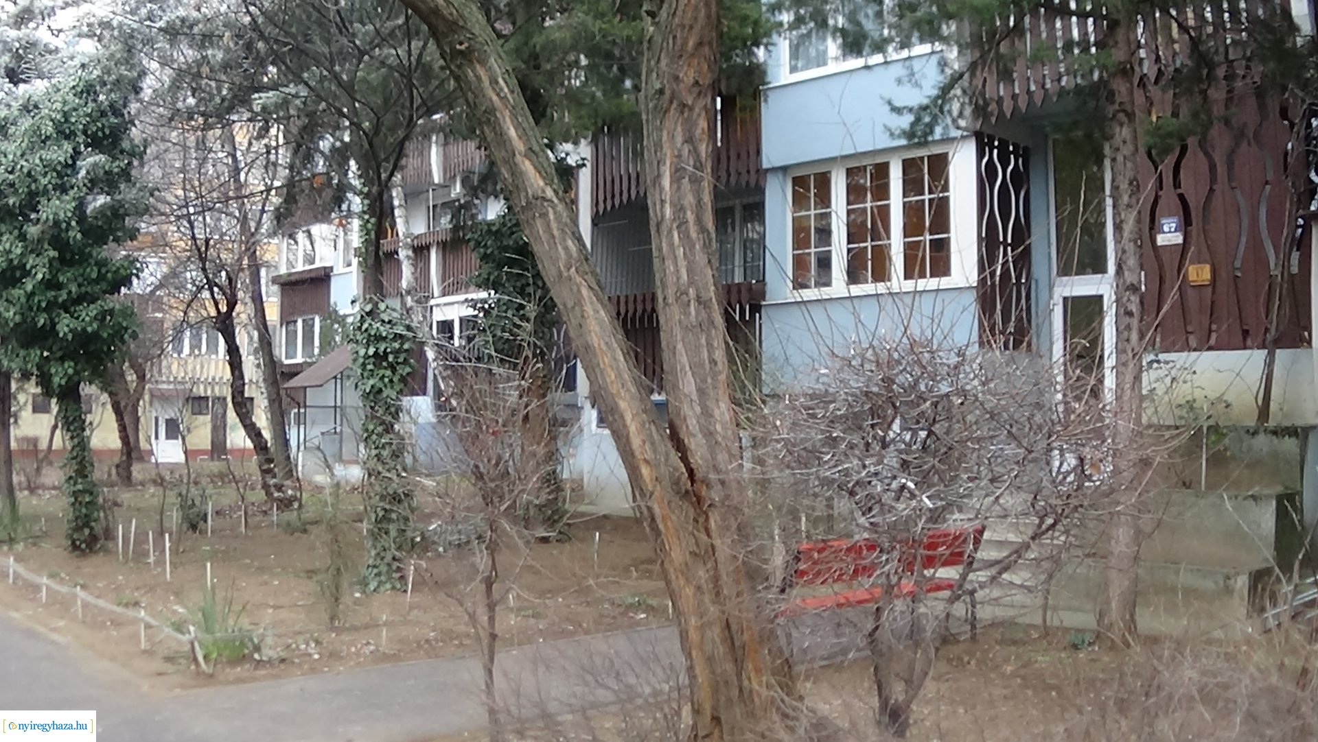 Favágási munkálatok a Kossuth utcán