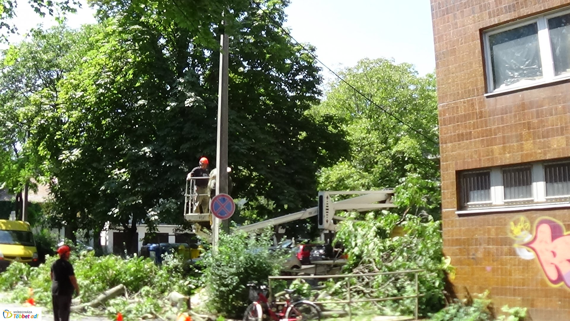 Favágási munkálatok a Kürt utcán