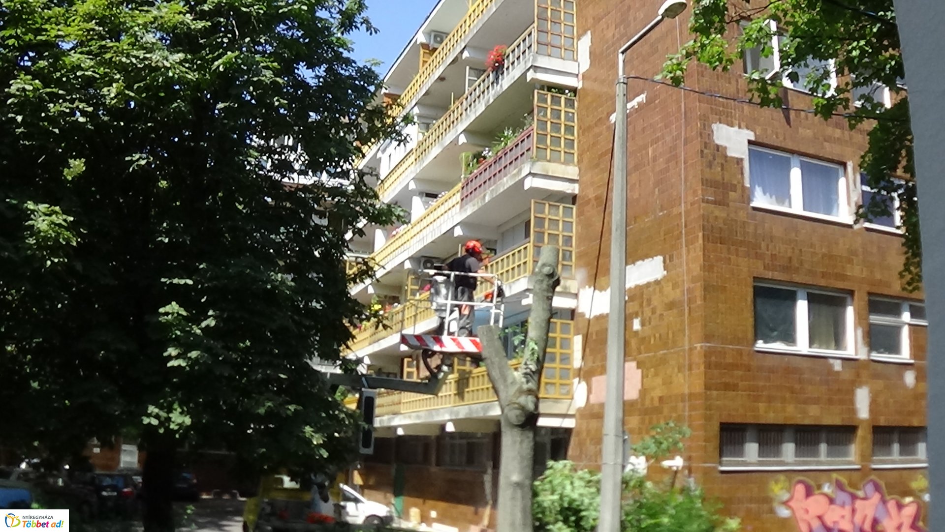 Favágási munkálatok a Kürt utcán