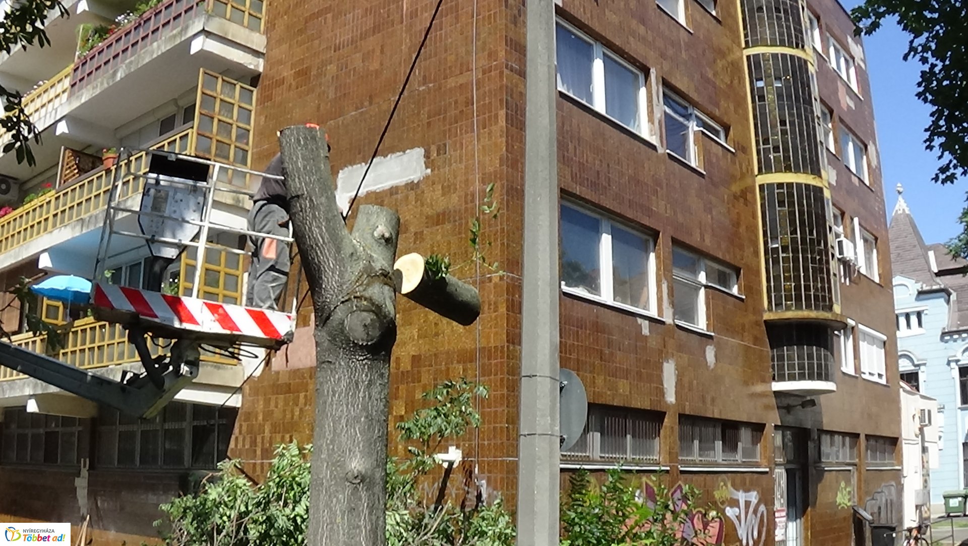 Favágási munkálatok a Kürt utcán