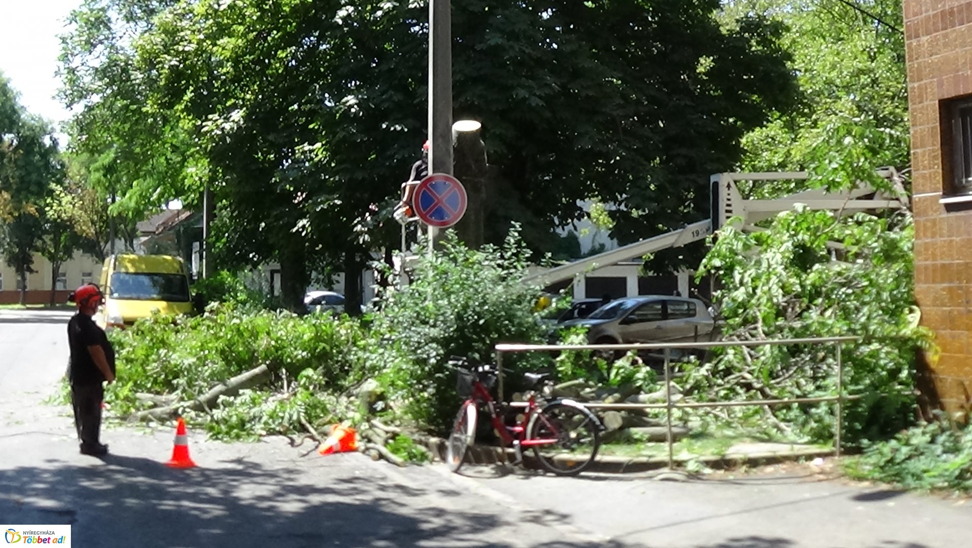 Favágási munkálatok a Kürt utcán