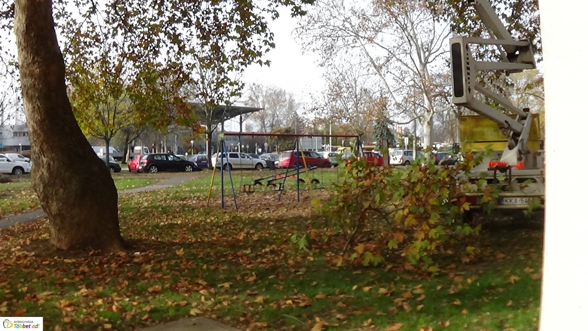 Favágási munkálatok az Árpád utcán