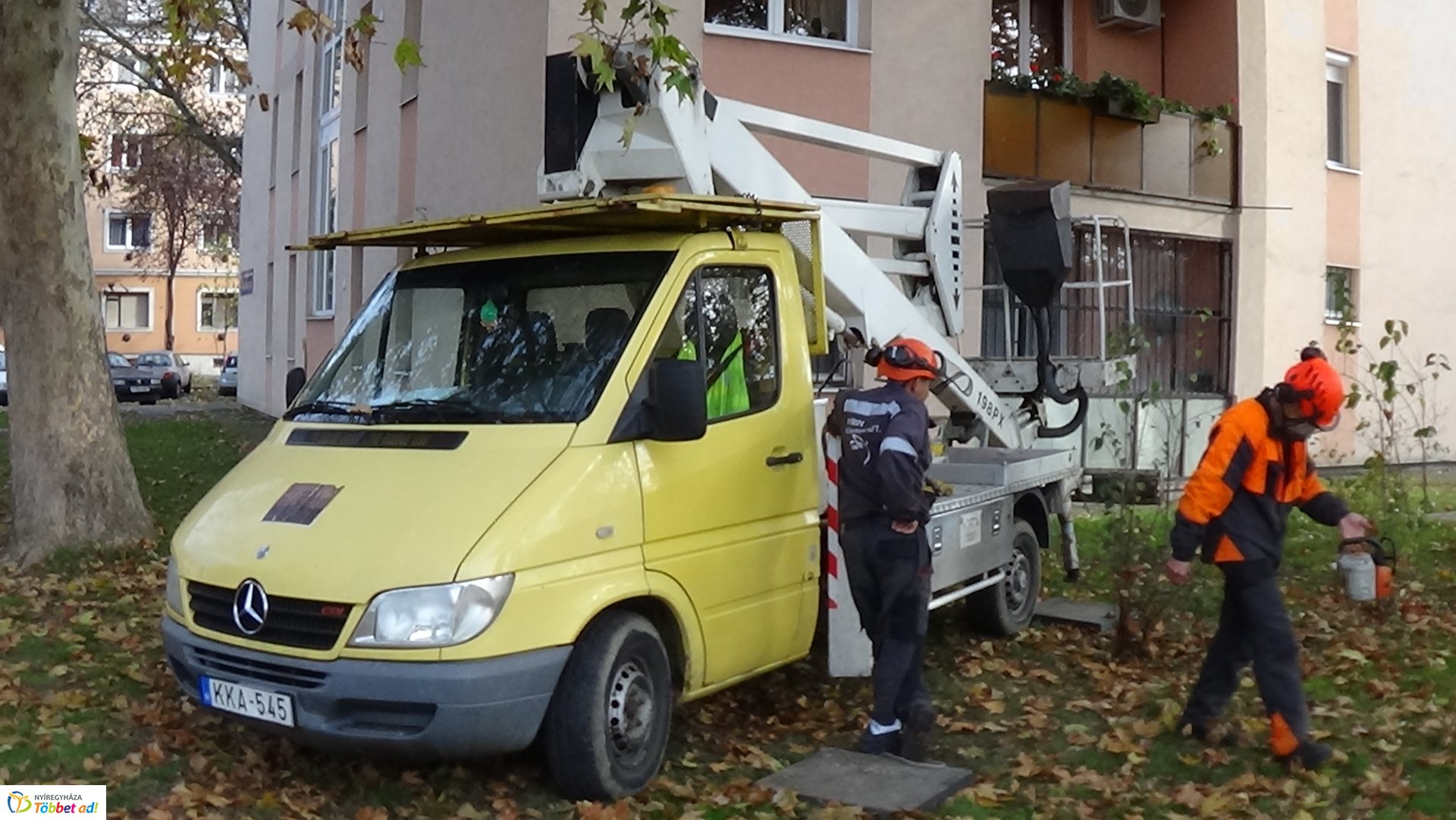 Favágási munkálatok az Árpád utcán