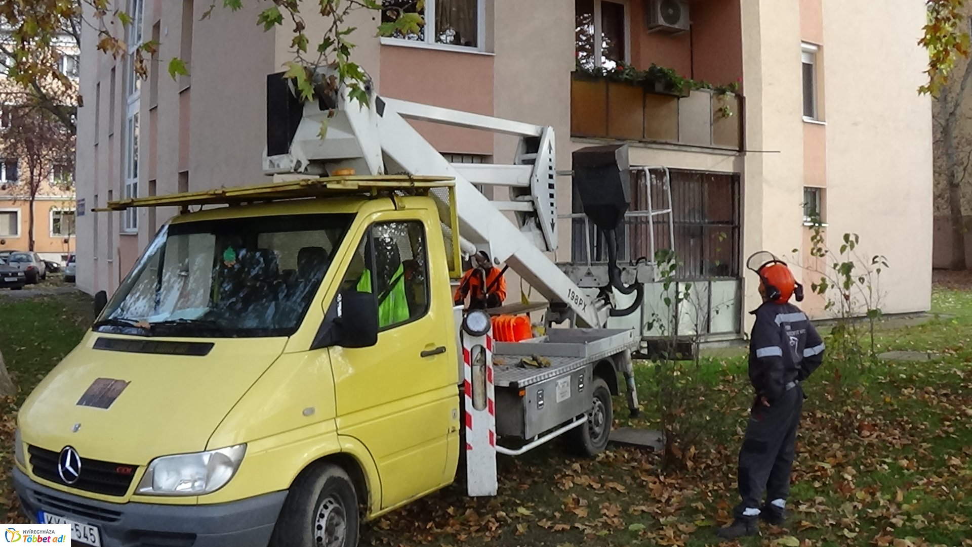 Favágási munkálatok az Árpád utcán