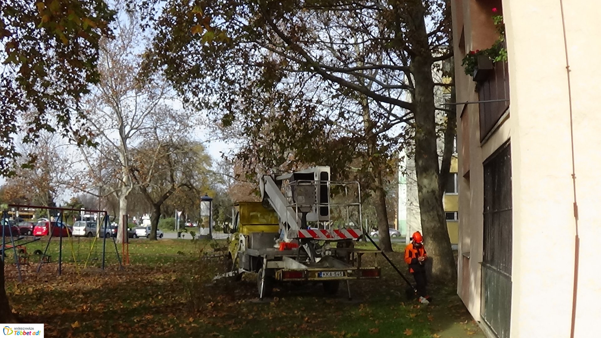 Favágási munkálatok az Árpád utcán