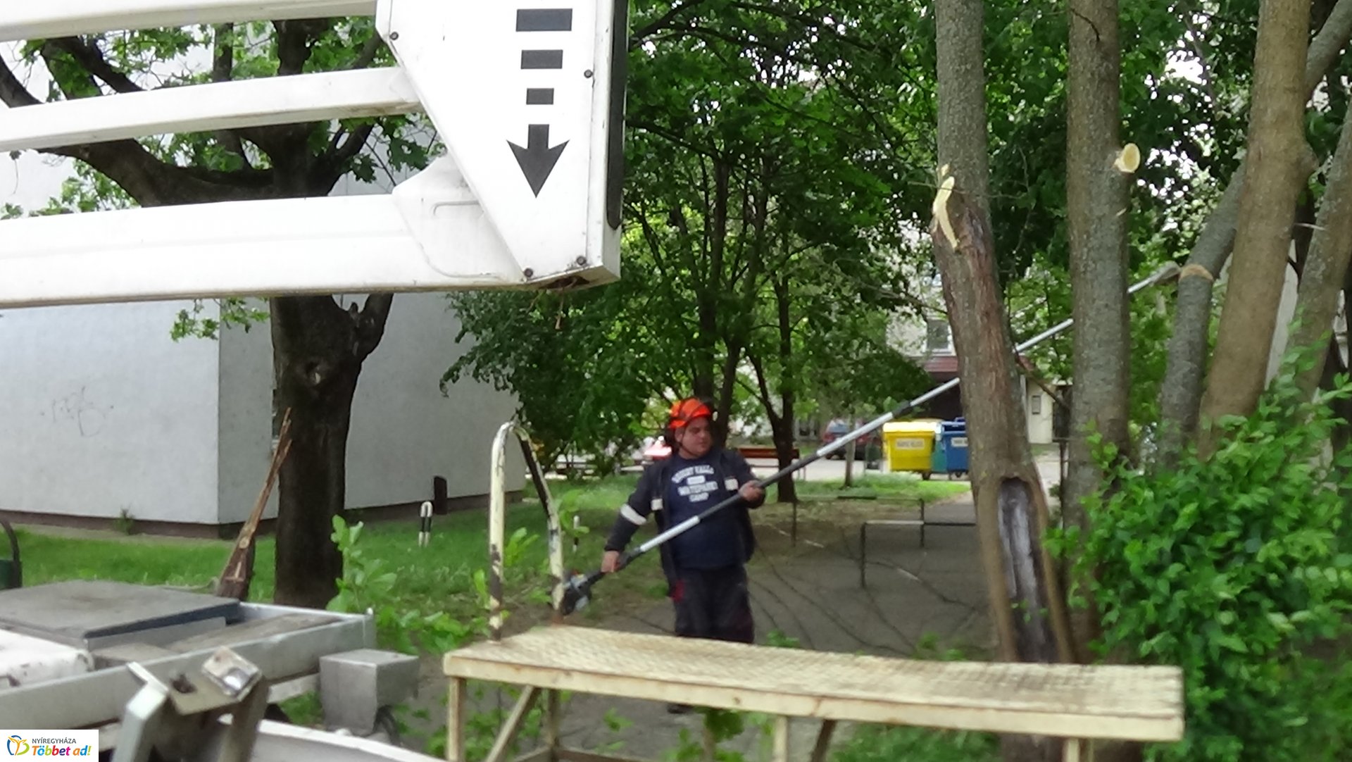 Favágási munkálatok az Erdő soron