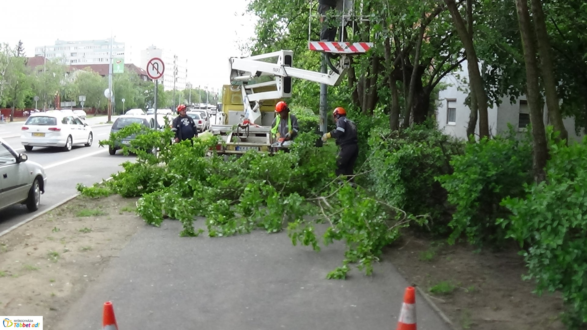 Favágási munkálatok az Erdő soron