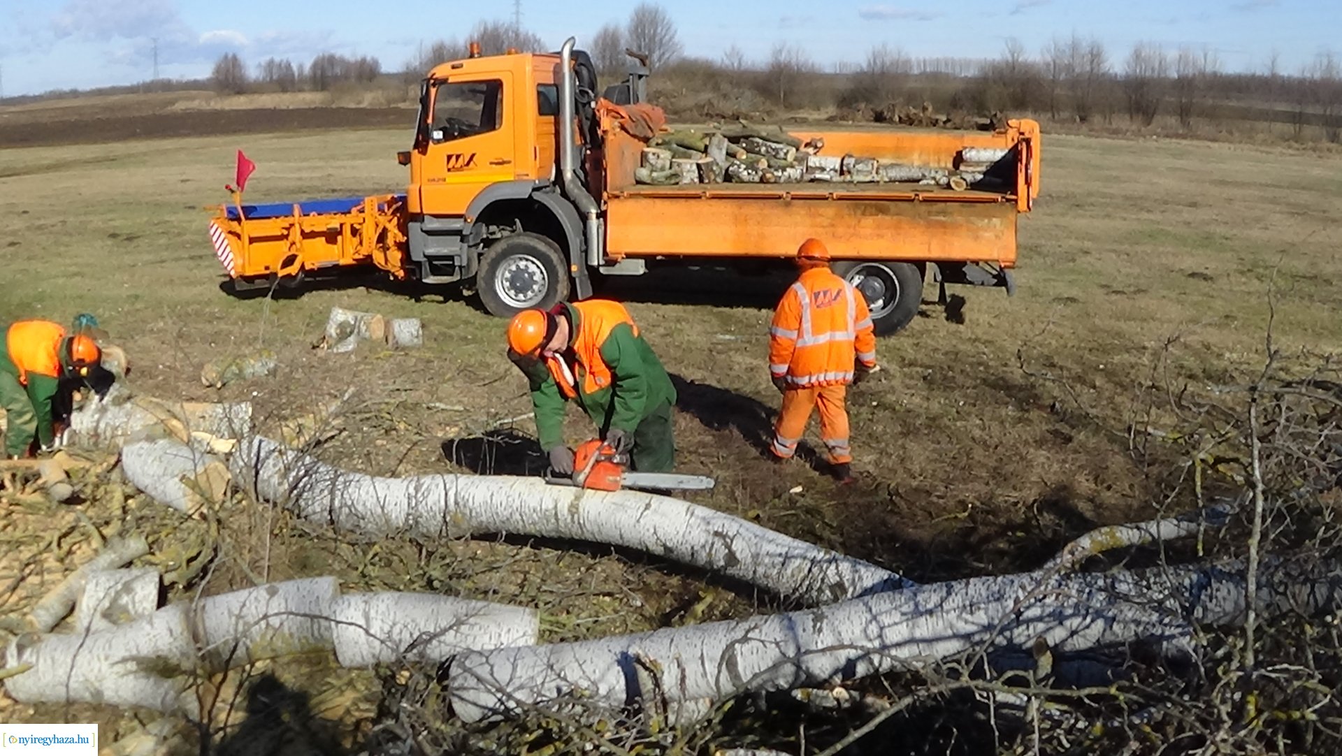 Favágási munkálatokat végez a Magyar Közút Oros külterületén 