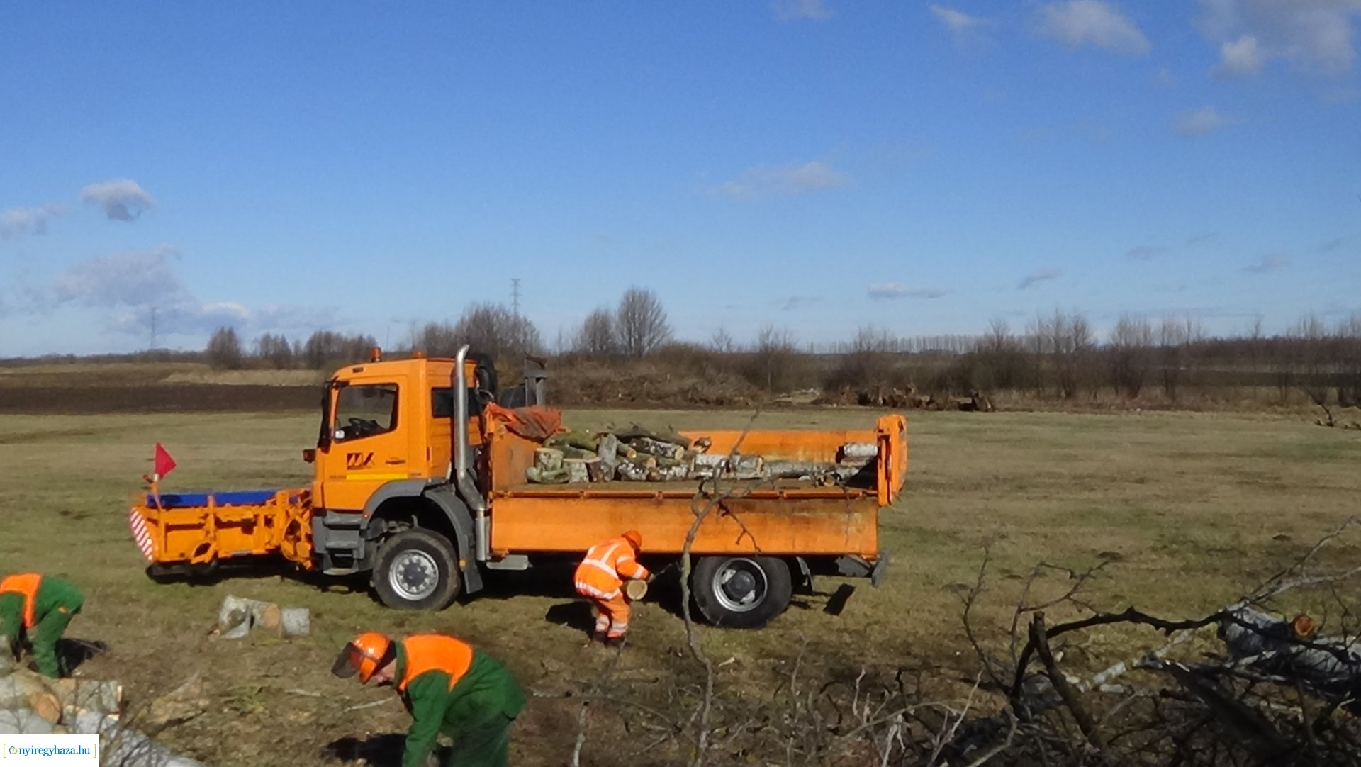 Favágási munkálatokat végez a Magyar Közút Oros külterületén 