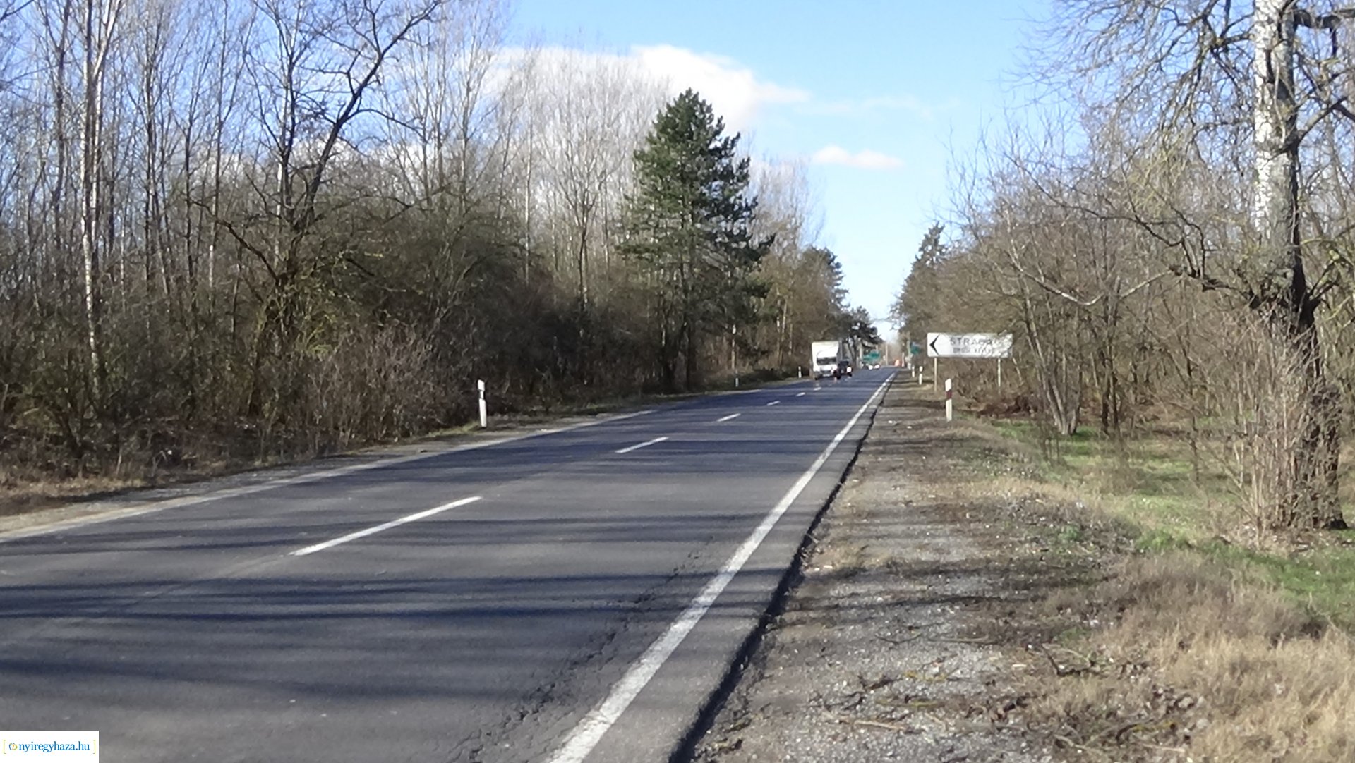 Favágási munkálatokat végez a Magyar Közút Oros külterületén 