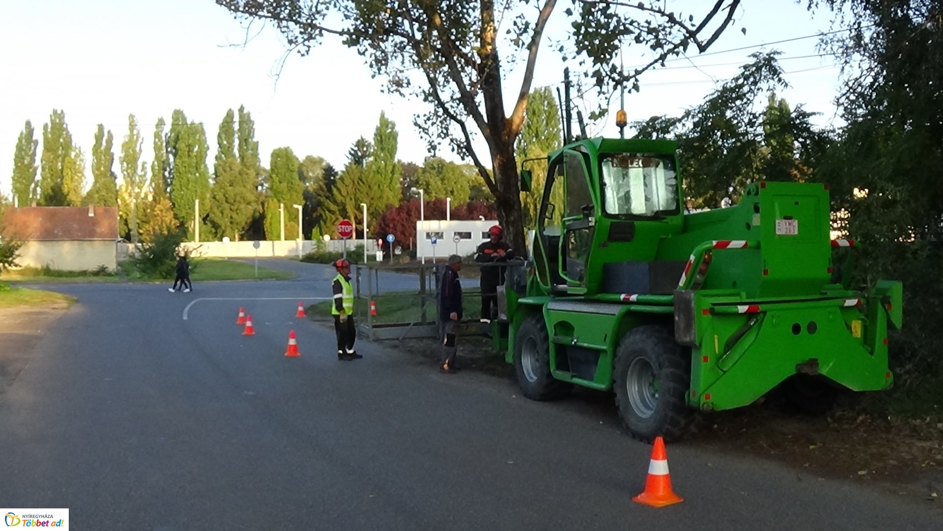 Favágási munkálatokat végeztek szerdán a Jég és a Nyírfa utcán