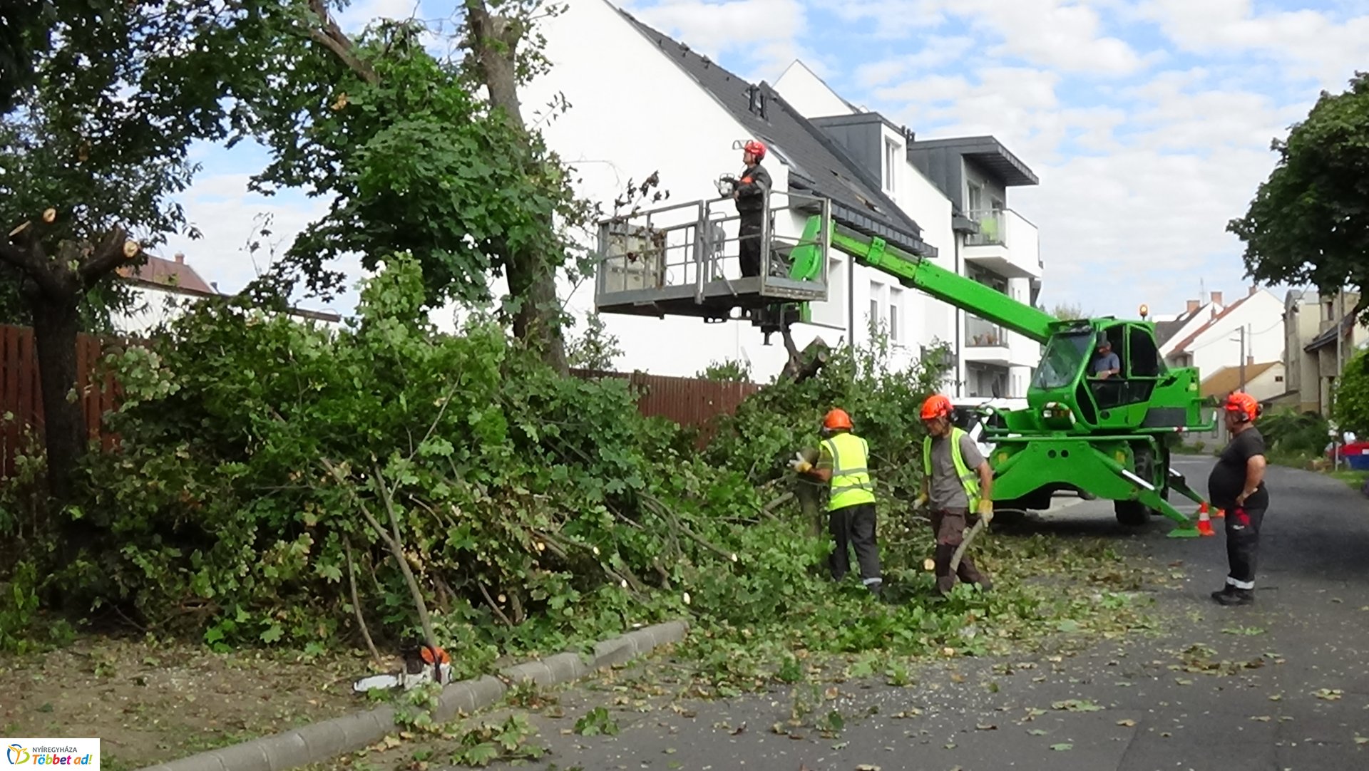 Favágási munkálatokat végeztek szerdán a Jég és a Nyírfa utcán