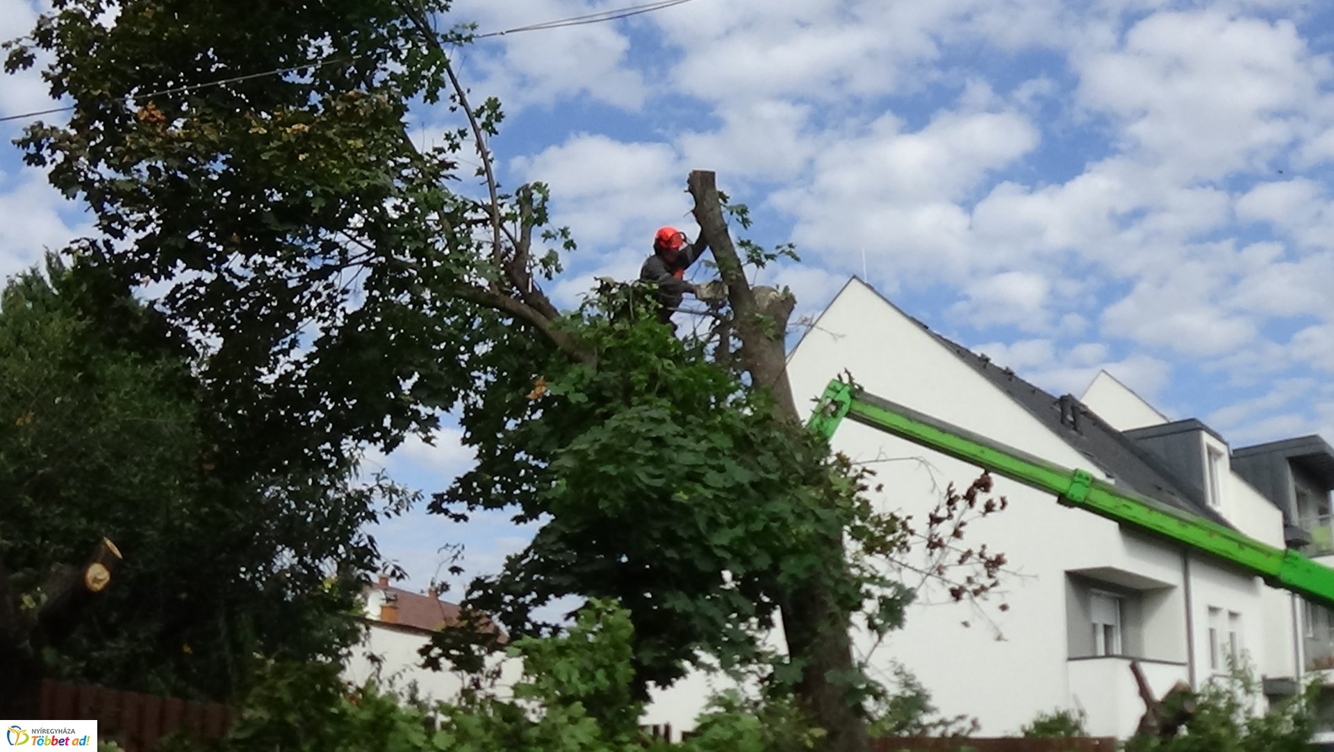 Favágási munkálatokat végeztek szerdán a Jég és a Nyírfa utcán