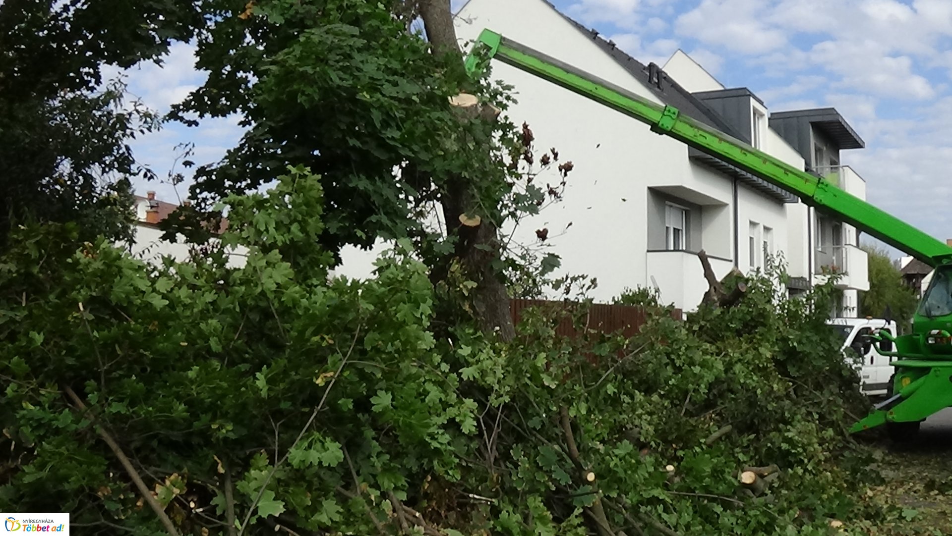 Favágási munkálatokat végeztek szerdán a Jég és a Nyírfa utcán