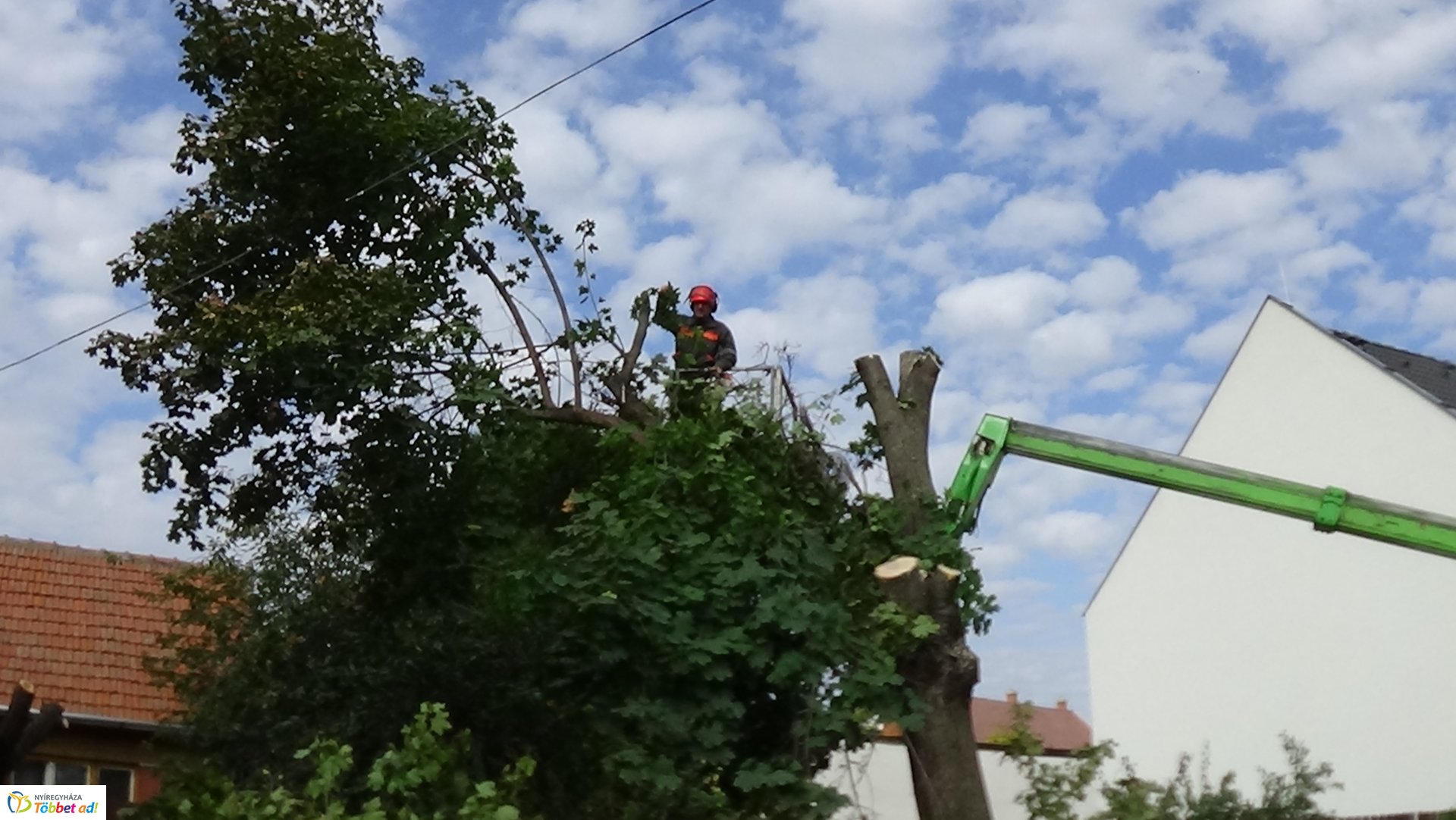 Favágási munkálatokat végeztek szerdán a Jég és a Nyírfa utcán