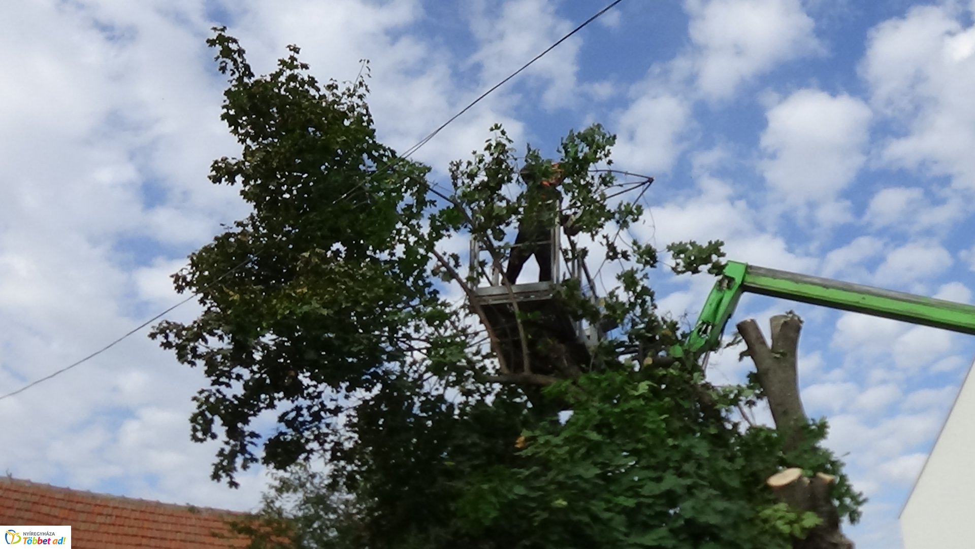 Favágási munkálatokat végeztek szerdán a Jég és a Nyírfa utcán