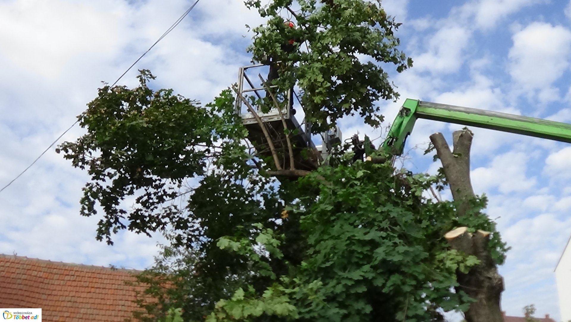 Favágási munkálatokat végeztek szerdán a Jég és a Nyírfa utcán