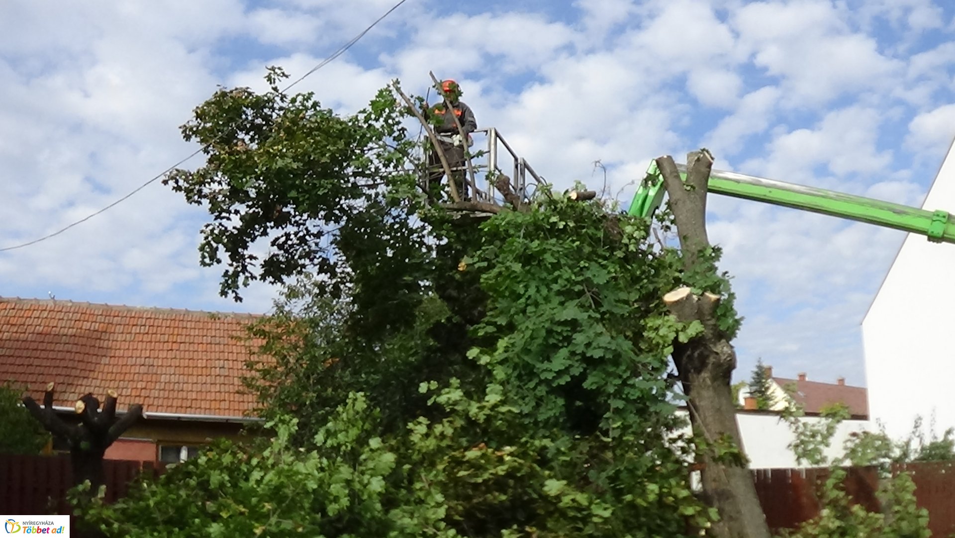 Favágási munkálatokat végeztek szerdán a Jég és a Nyírfa utcán