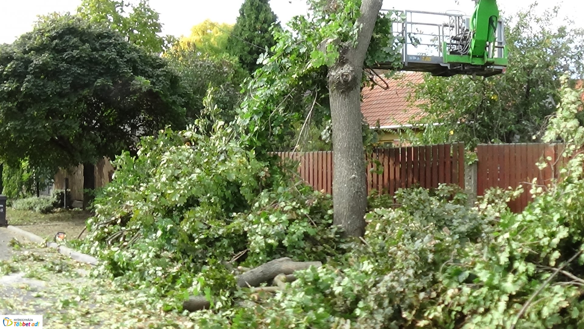 Favágási munkálatokat végeztek szerdán a Jég és a Nyírfa utcán