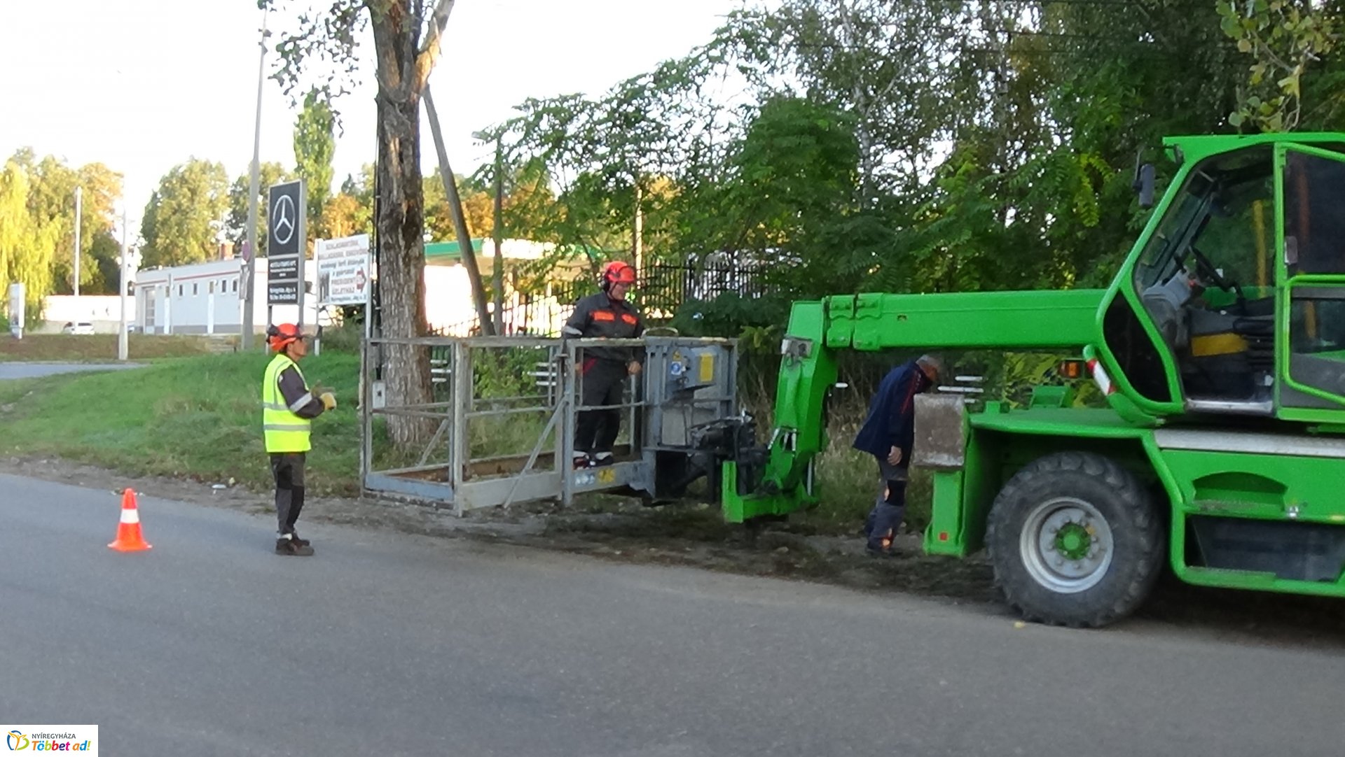 Favágási munkálatokat végeztek szerdán a Jég és a Nyírfa utcán
