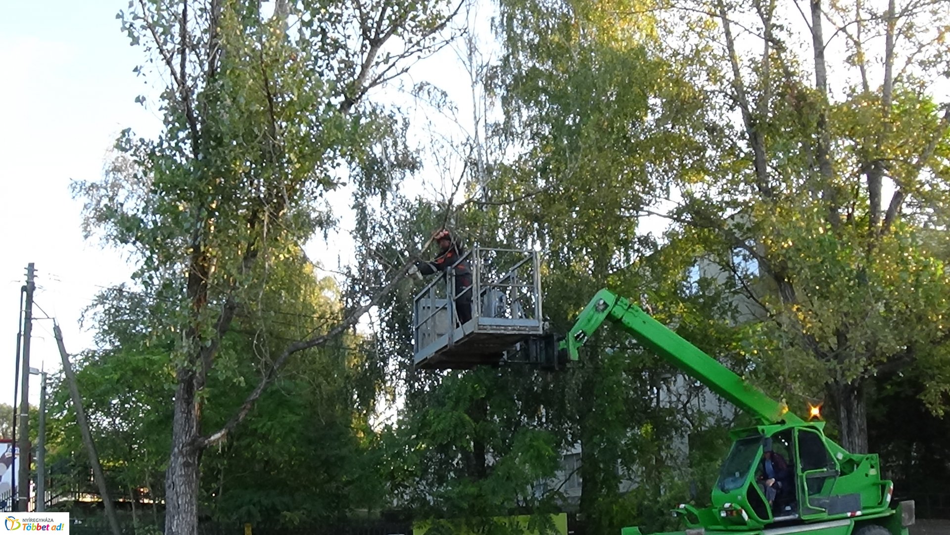 Favágási munkálatokat végeztek szerdán a Jég és a Nyírfa utcán