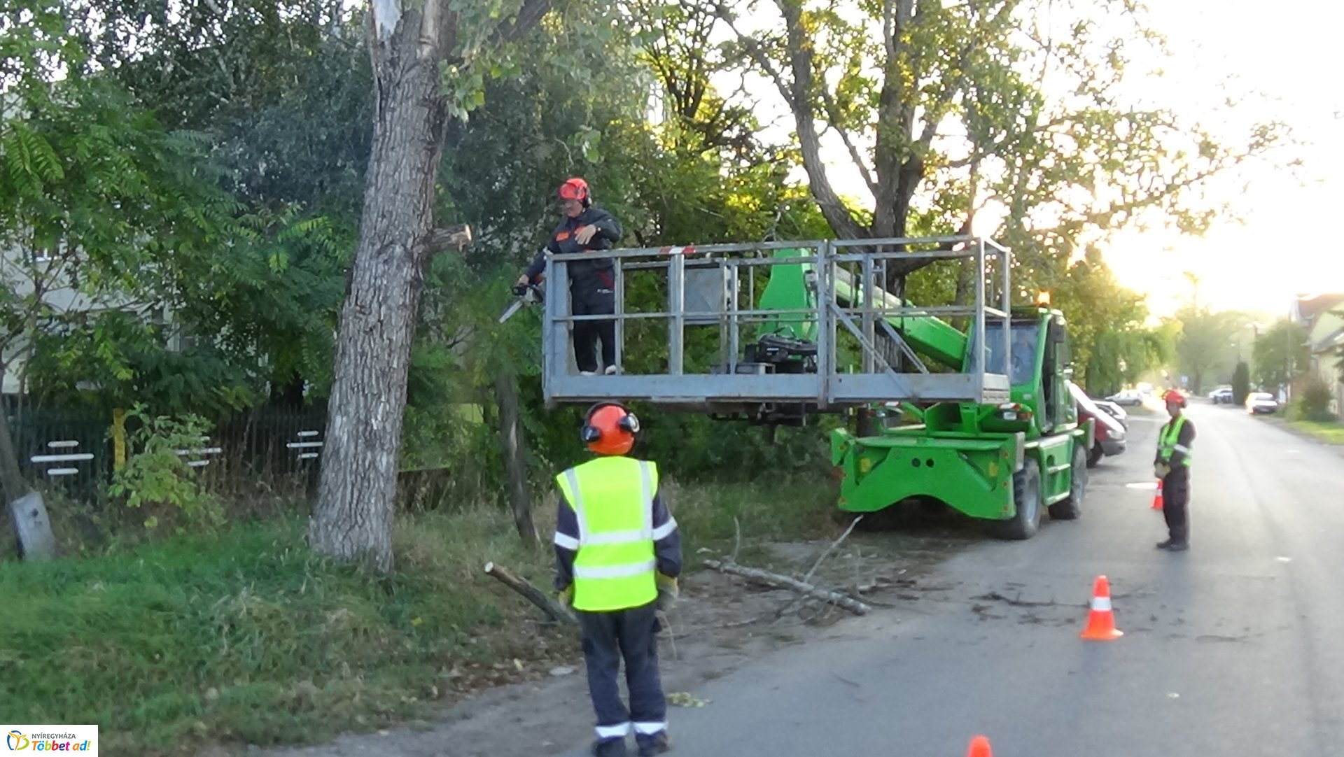 Favágási munkálatokat végeztek szerdán a Jég és a Nyírfa utcán