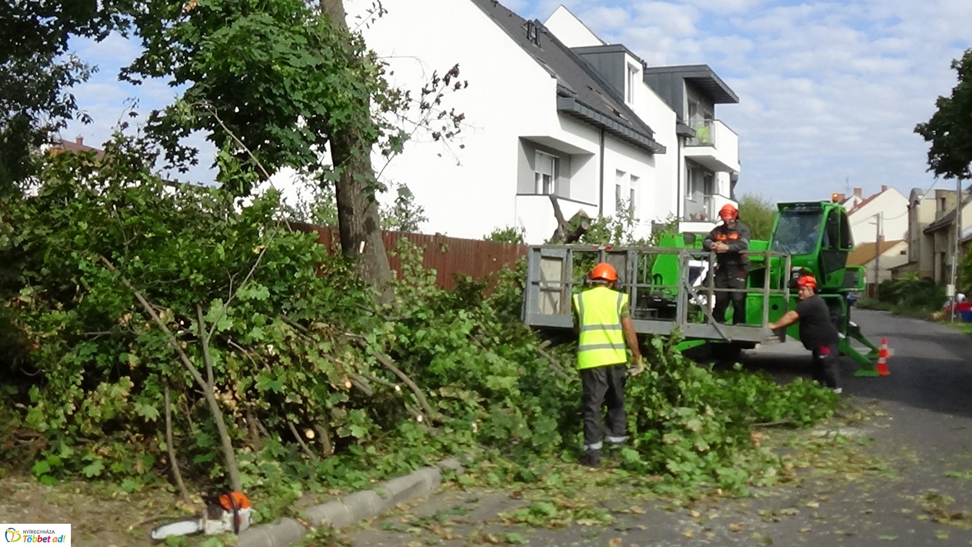 Favágási munkálatokat végeztek szerdán a Jég és a Nyírfa utcán