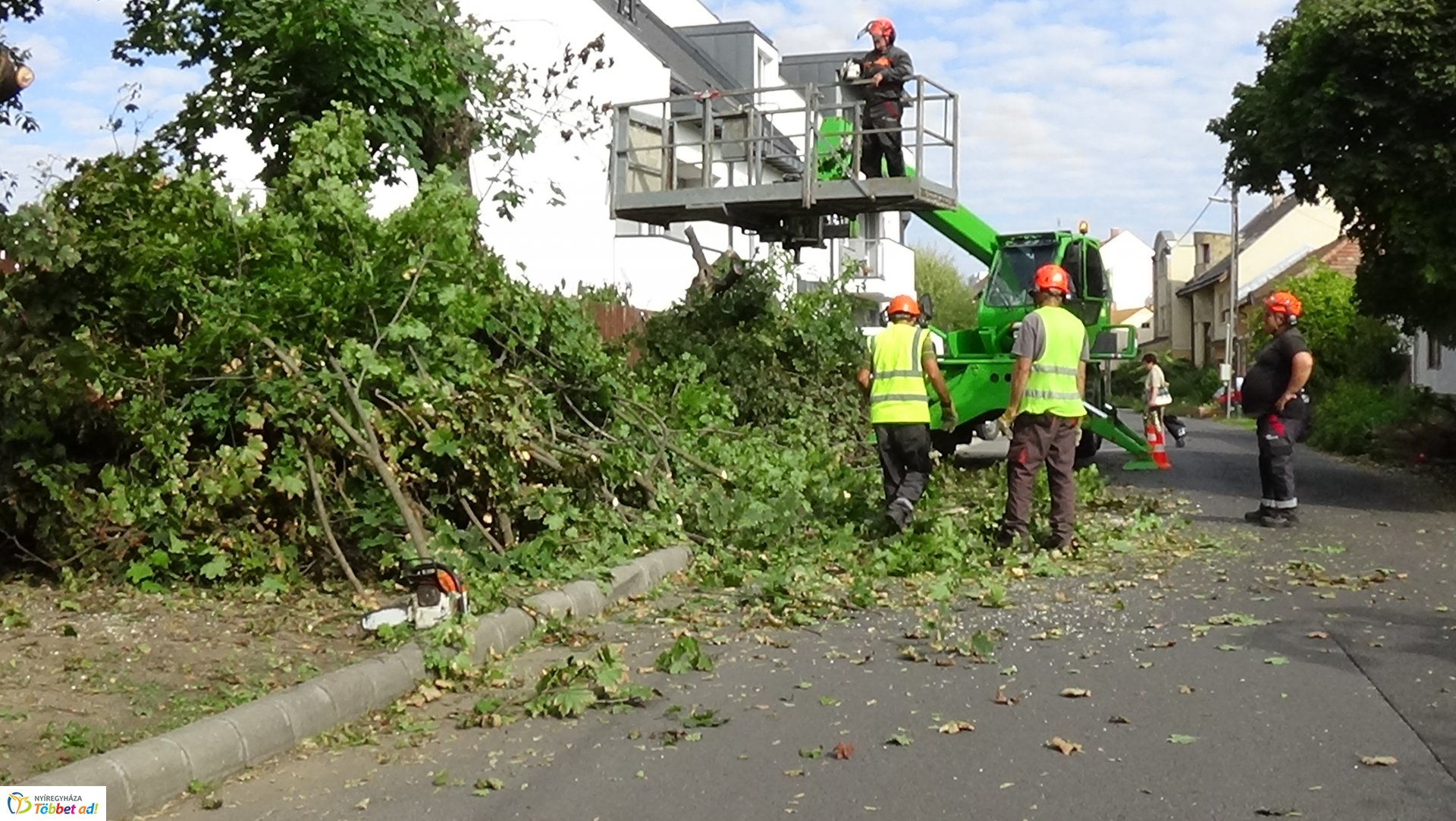 Favágási munkálatokat végeztek szerdán a Jég és a Nyírfa utcán