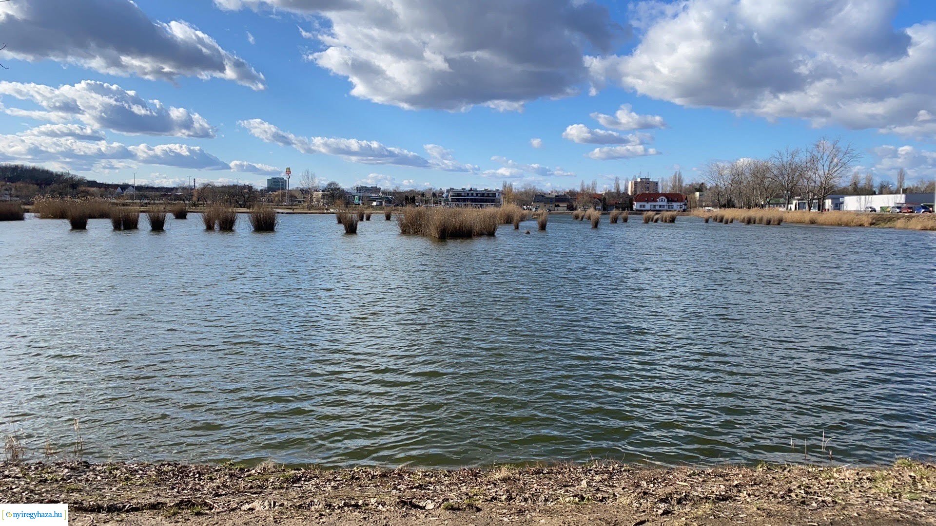 Februárban is csodás a Bujtosi Városliget (Olvasói fotók!)