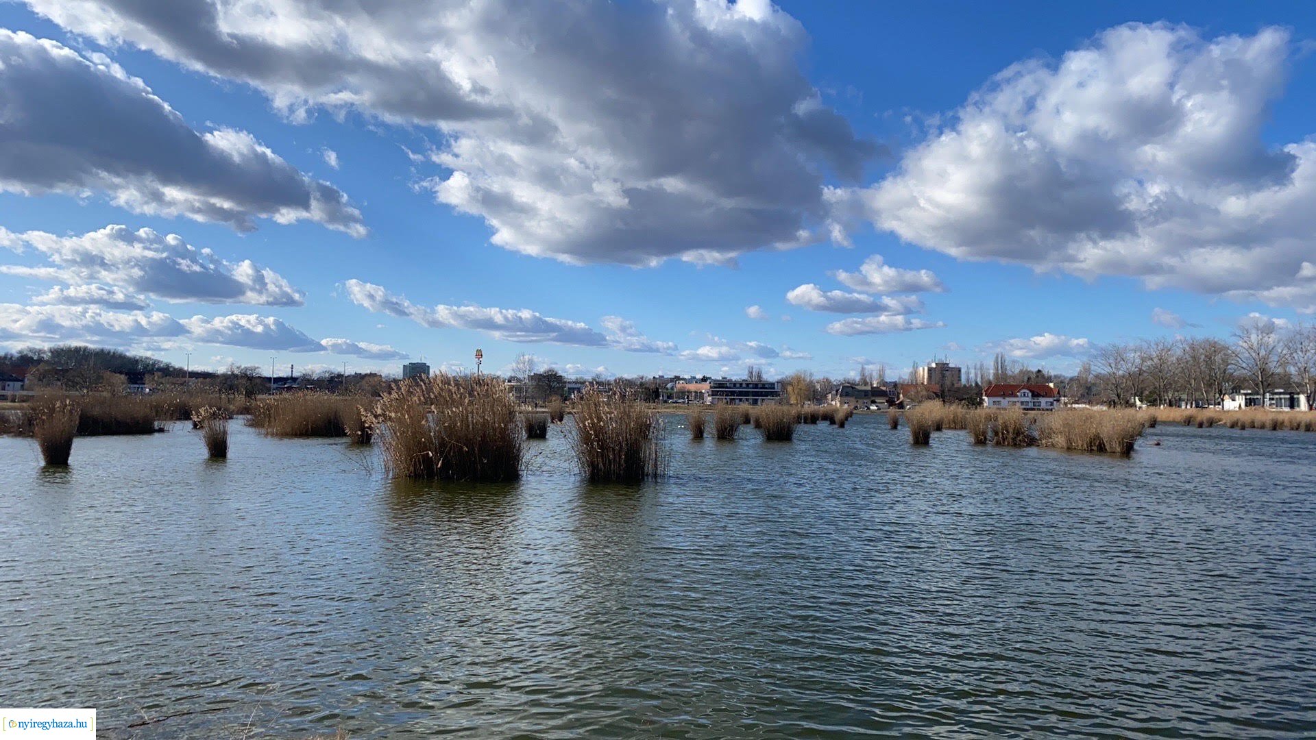 Februárban is csodás a Bujtosi Városliget (Olvasói fotók!)