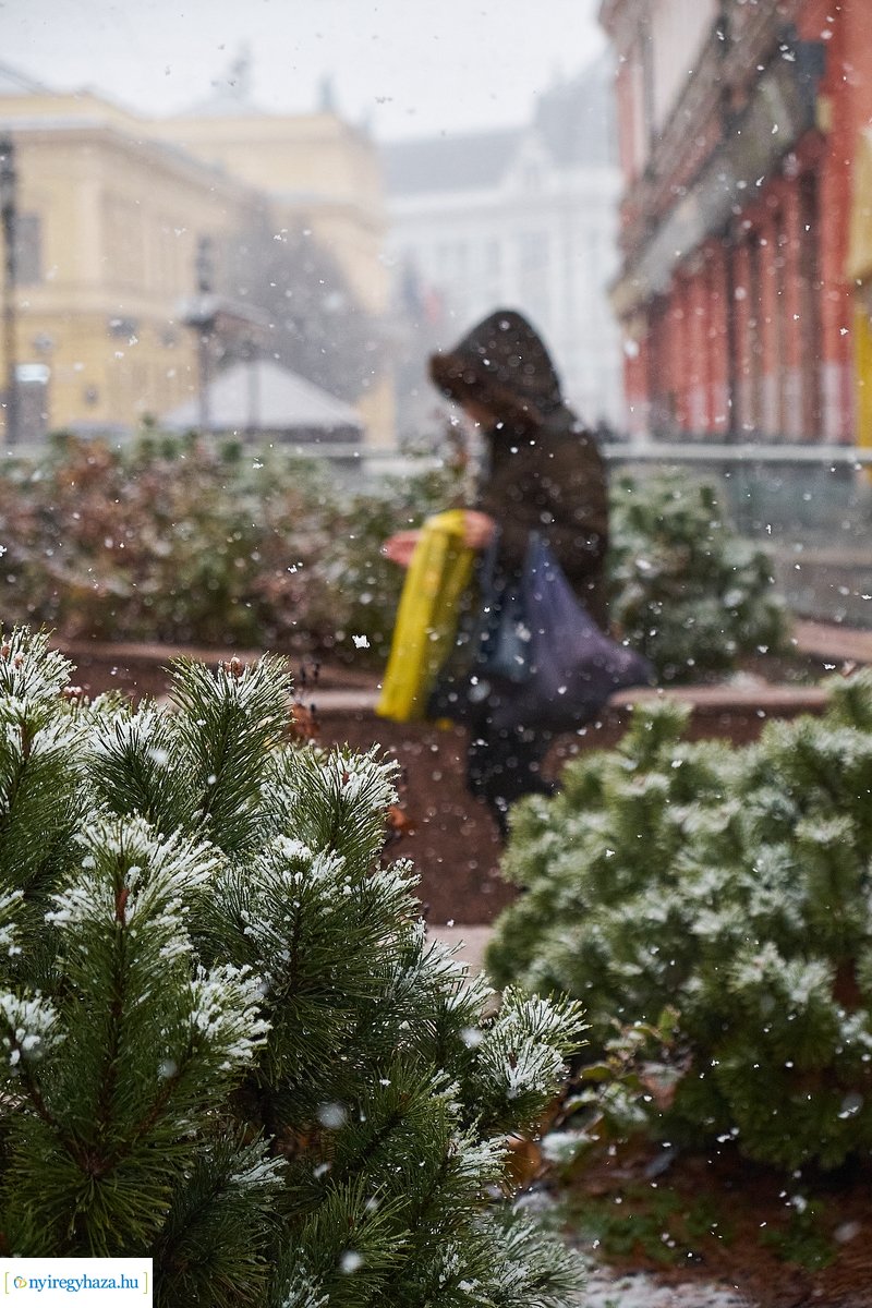 Februári havazás 20200228