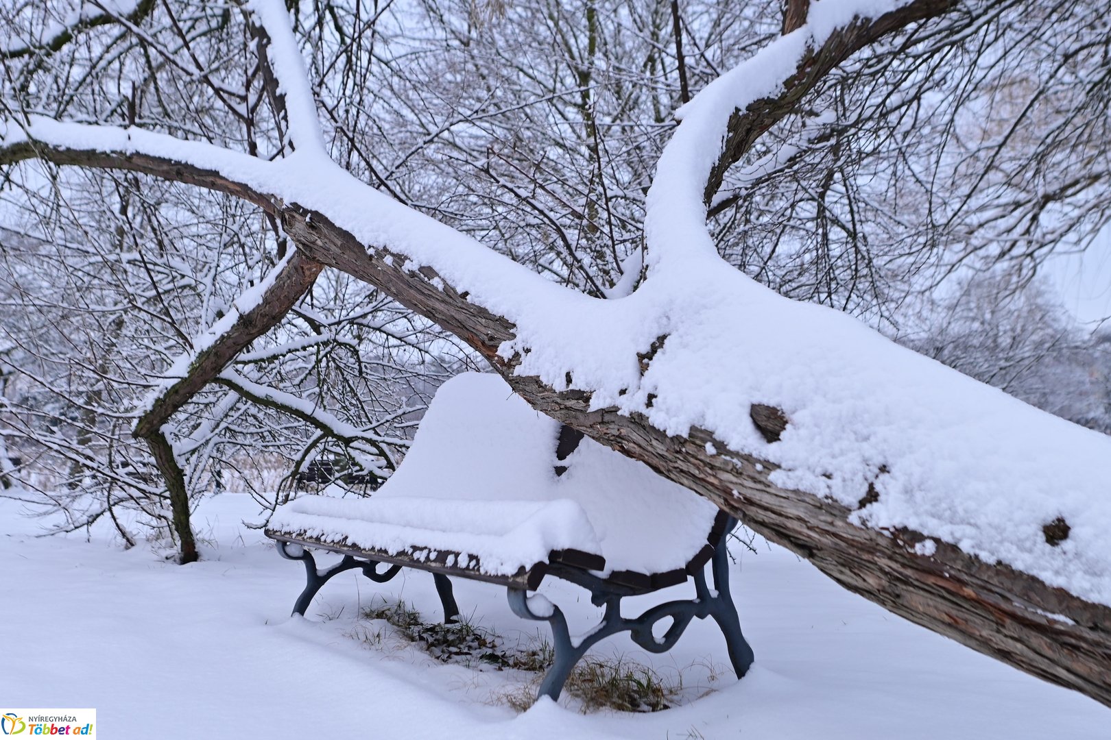 Fehérbe öltözött Sóstó 2026 januárjában