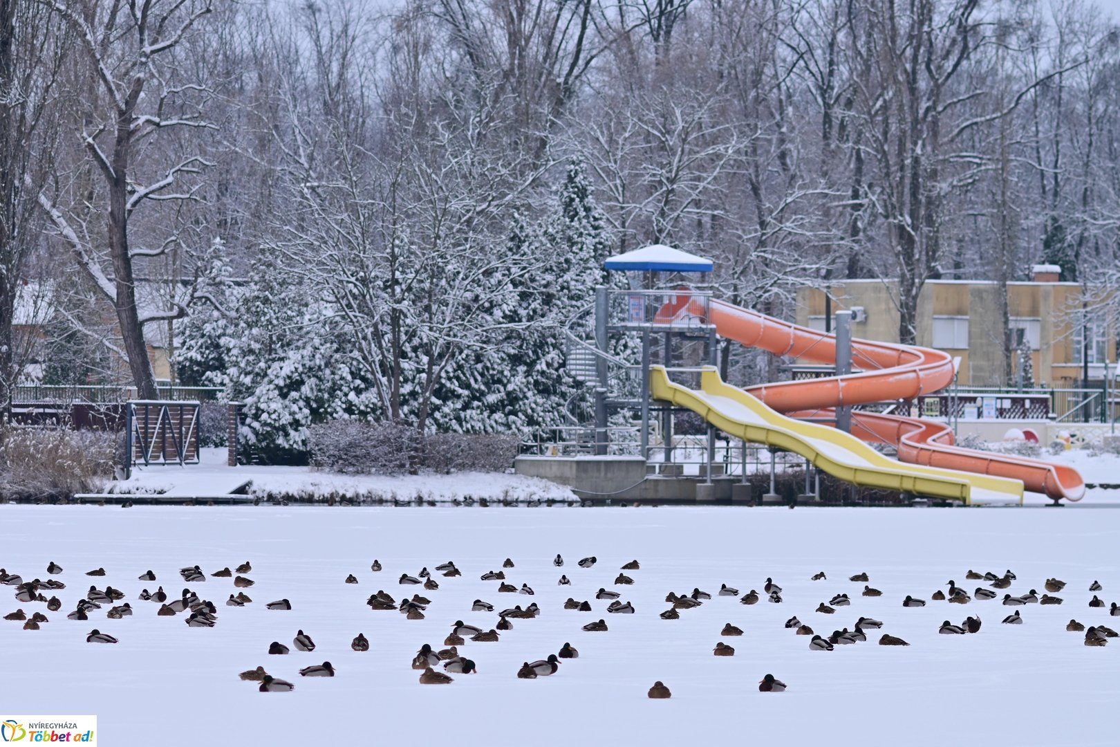 Fehérbe öltözött Sóstó 2026 januárjában