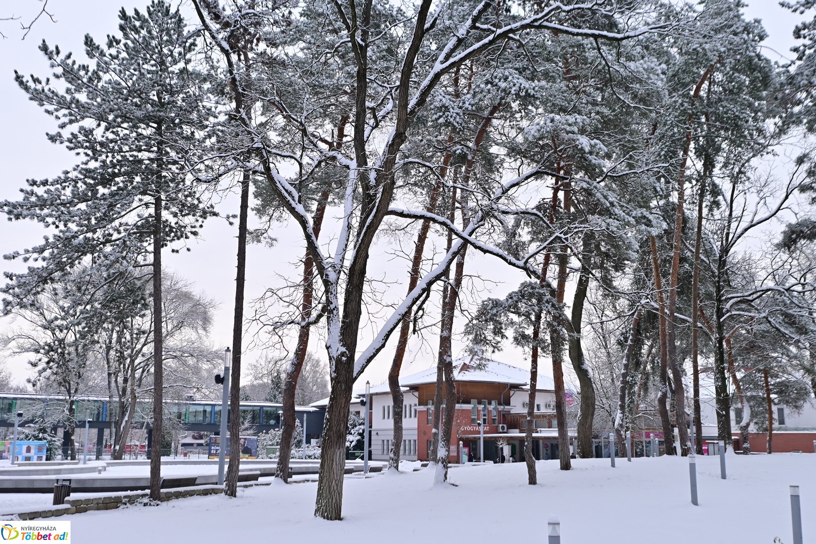 Fehérbe öltözött Sóstó 2026 januárjában