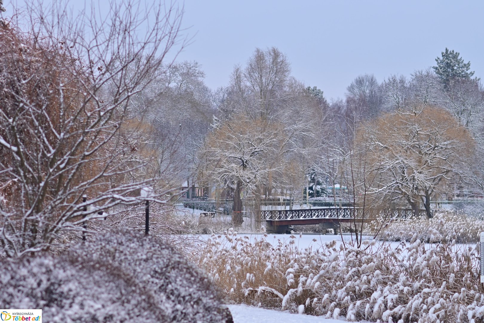 Fehérbe öltözött Sóstó 2026 januárjában