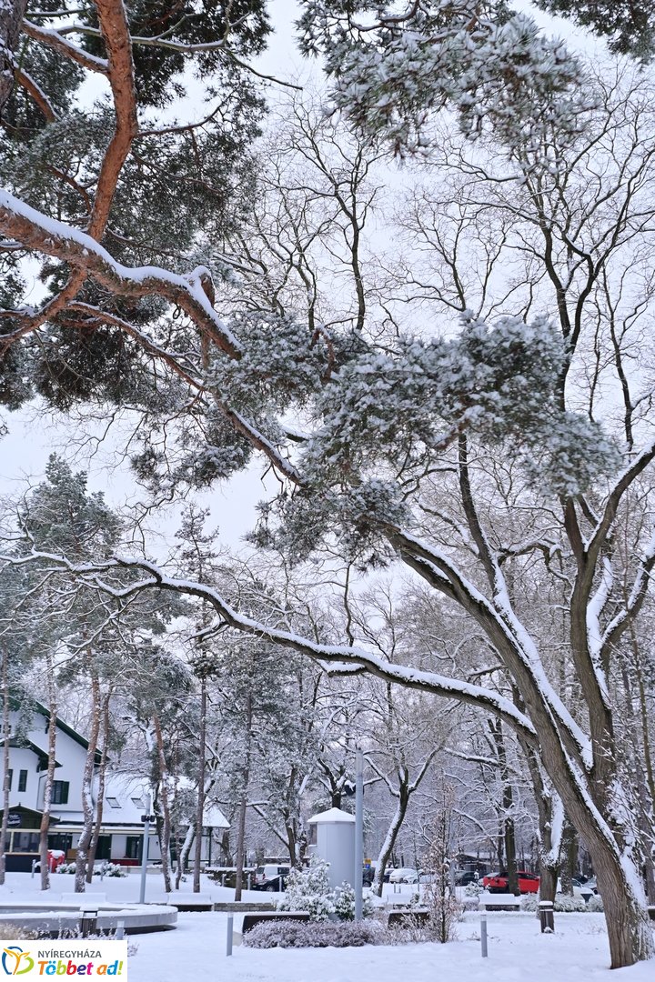 Fehérbe öltözött Sóstó 2026 januárjában