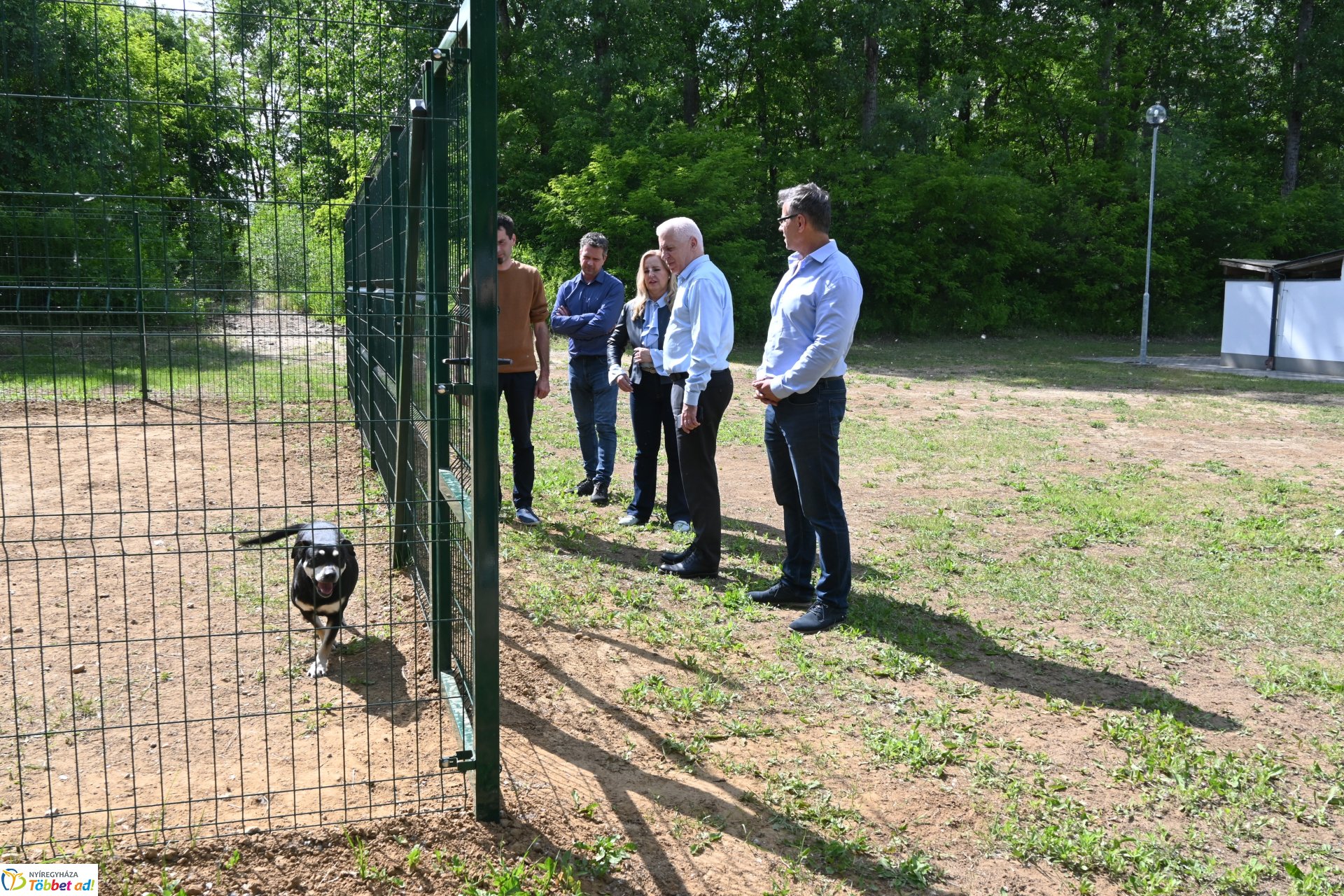 Fejlesztések a Gyepmesteri telepen