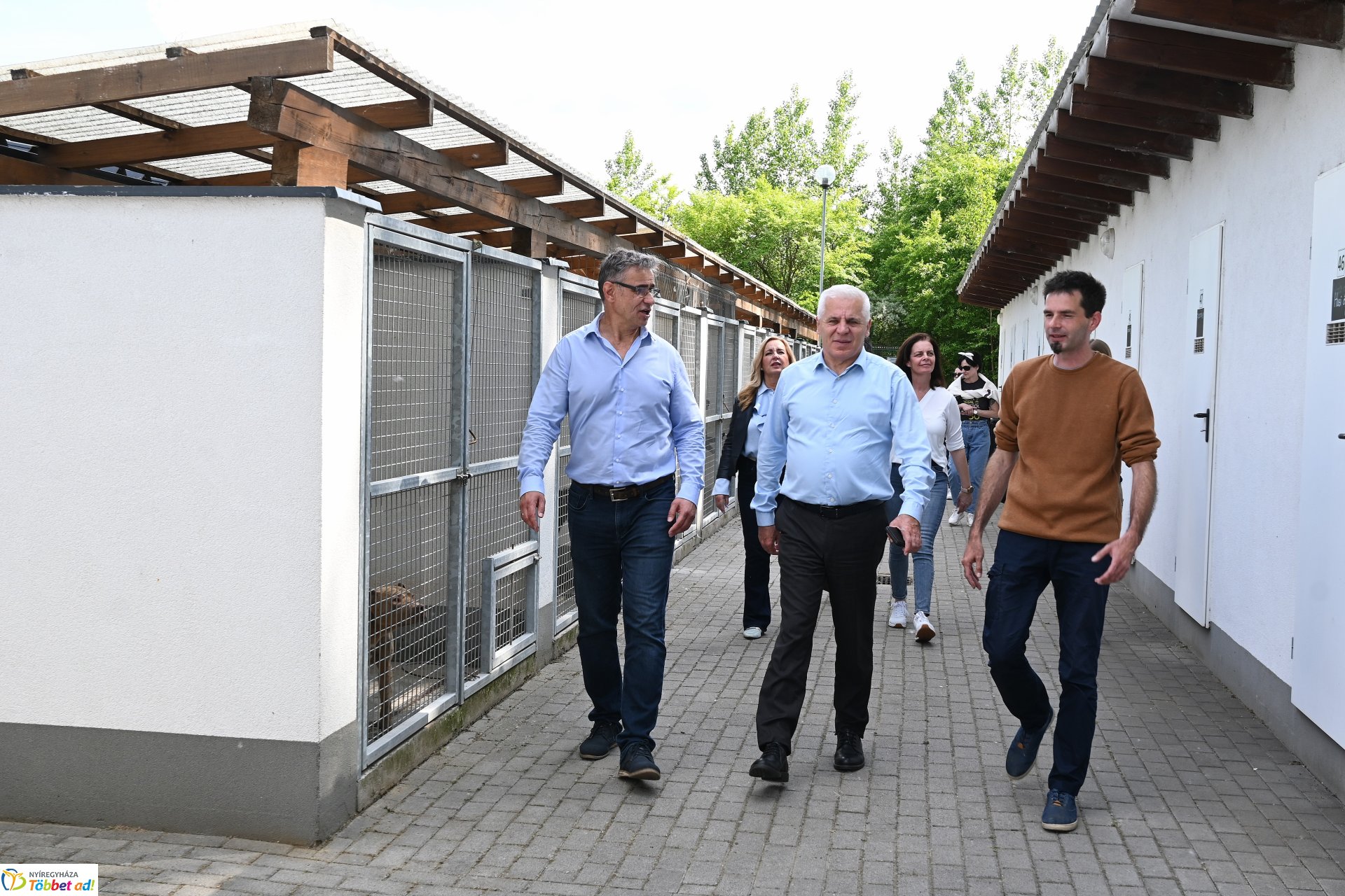 Fejlesztések a Gyepmesteri telepen