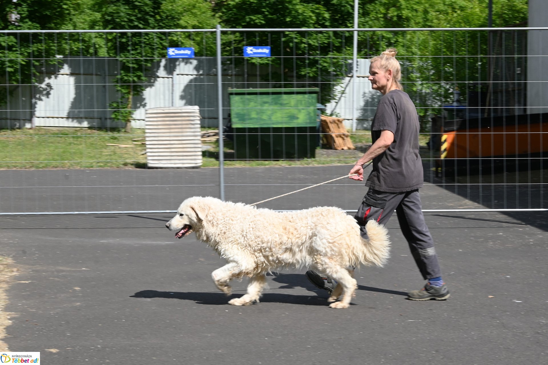 Fejlesztések a Gyepmesteri telepen