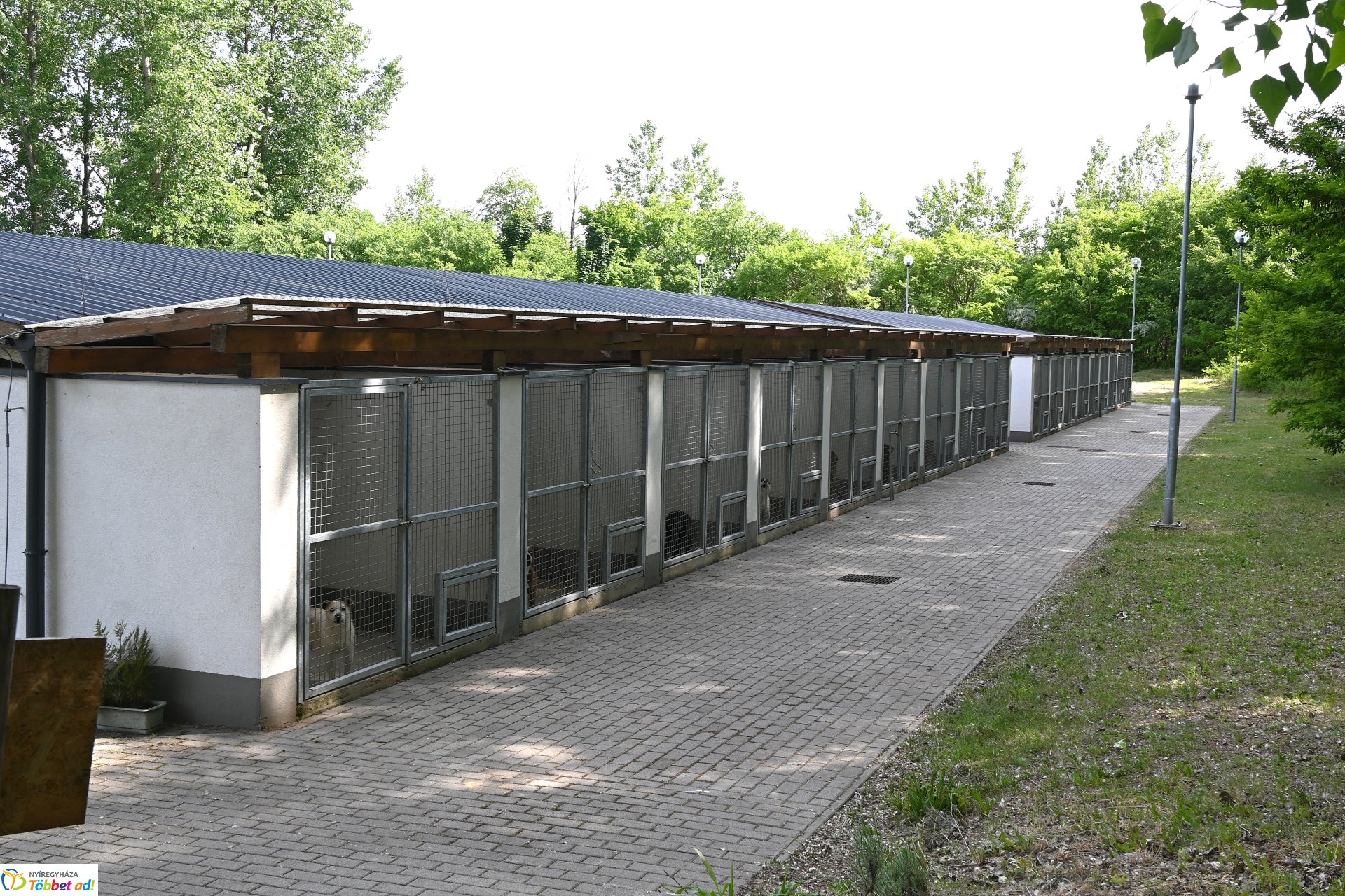 Fejlesztések a Gyepmesteri telepen