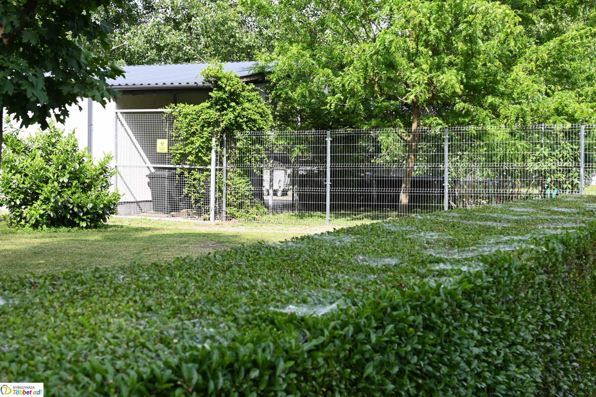 Fejlesztések a Gyepmesteri telepen