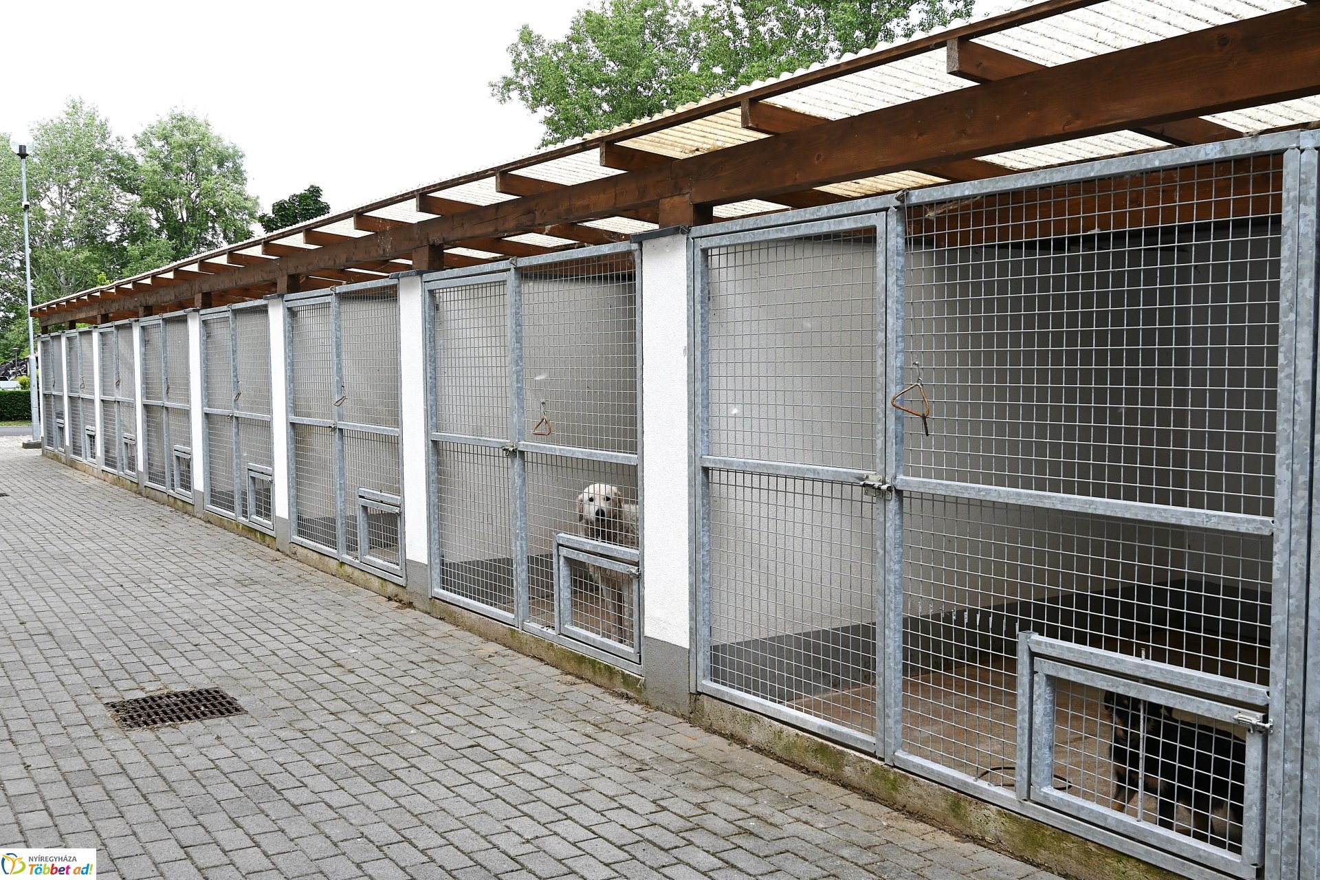 Fejlesztések a Gyepmesteri telepen