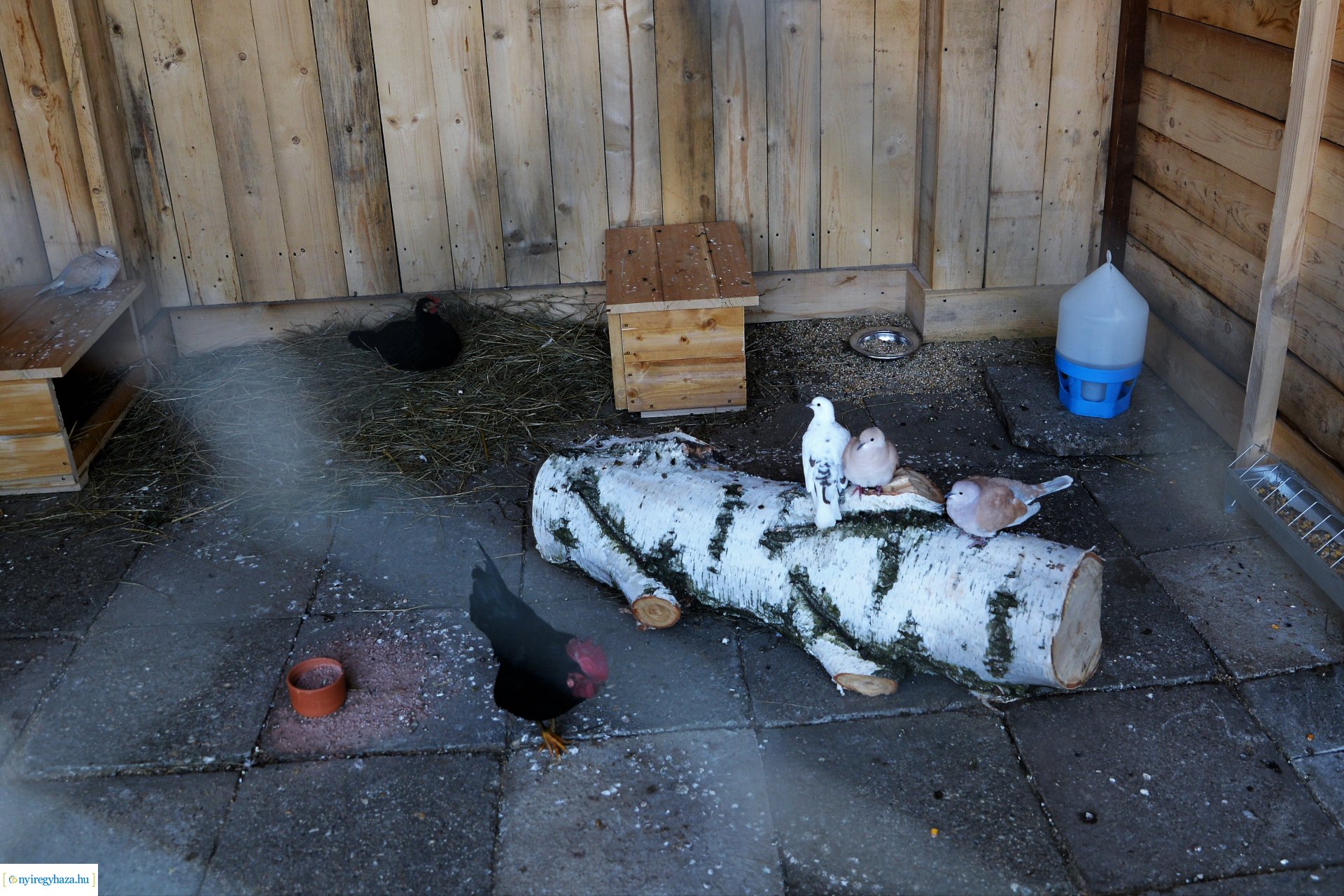 Fejlesztések a Sóstóhegyi Szabó Lőrinc általános iskolában