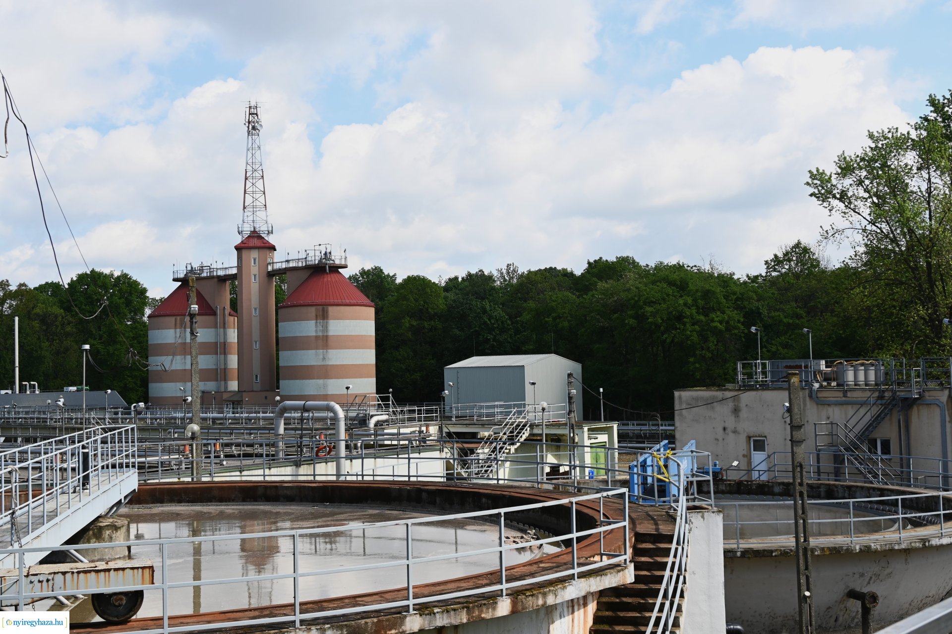 Fenntarthatósági témahét a Nyírségvíz Zrt-nél