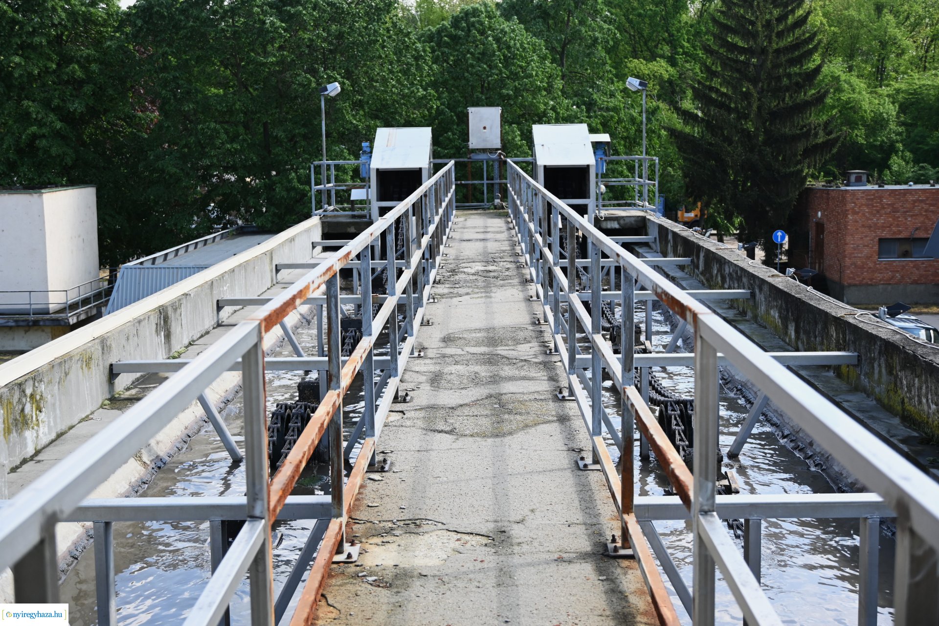 Fenntarthatósági témahét a Nyírségvíz Zrt-nél