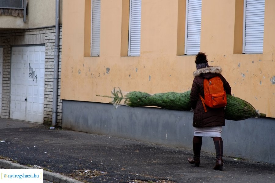 Fenyőfa vásár a Búza téri piacon 2022