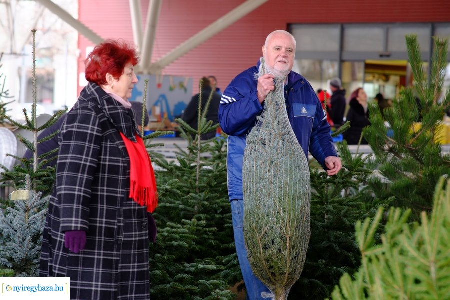 Fenyőfa vásár a Búza téri piacon 2022