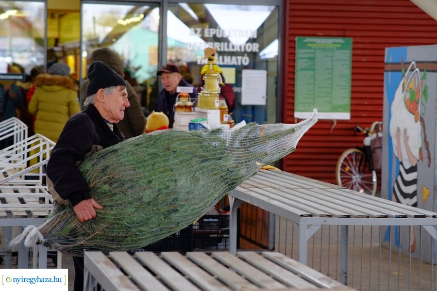 Fenyőfa vásár a Búza téri piacon 2022